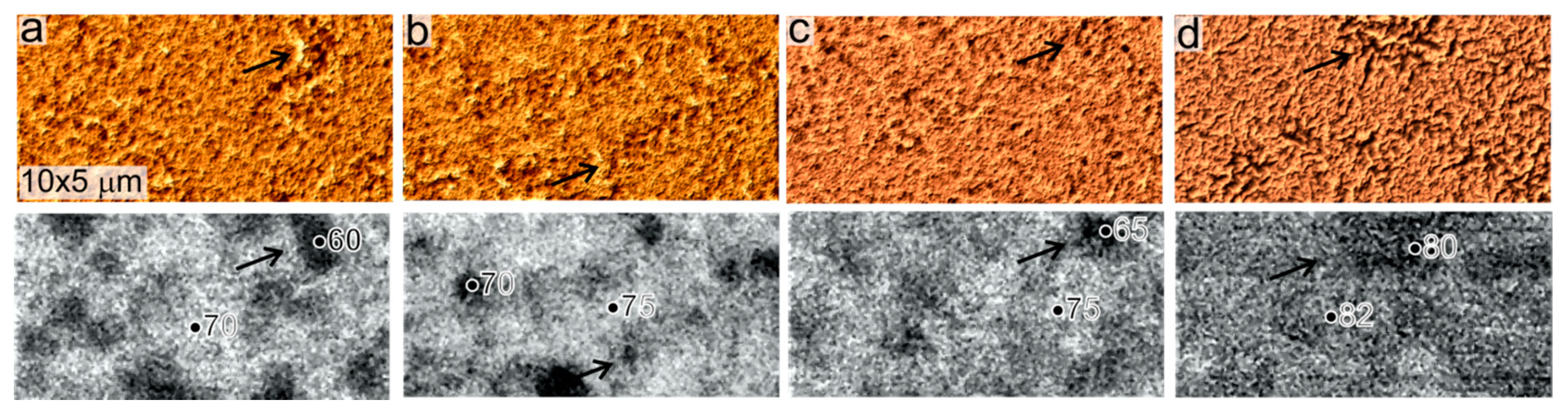 Coatings 10 00274 g004