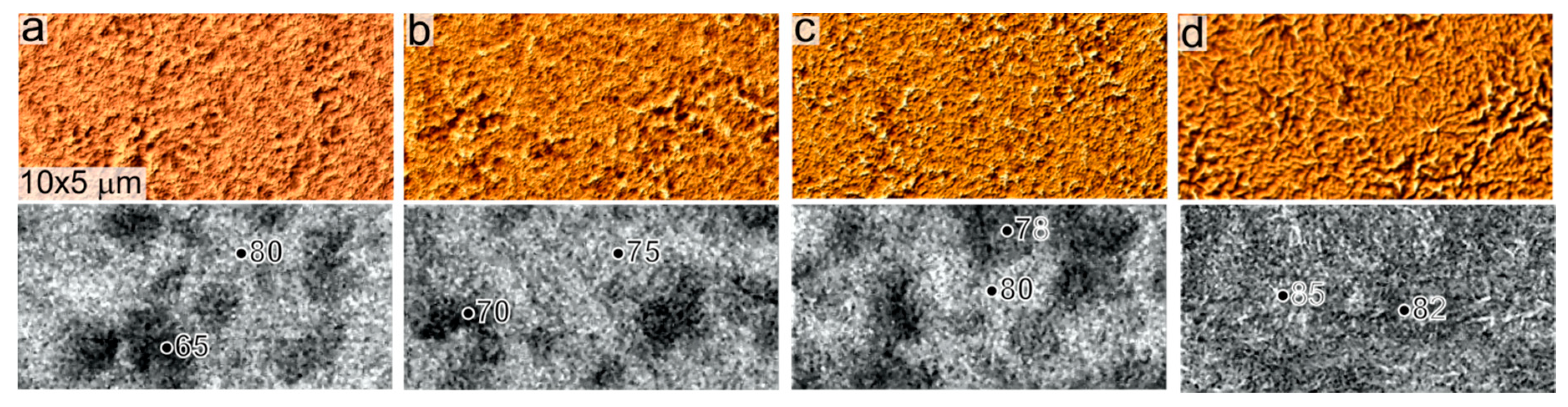 Coatings 10 00274 g005