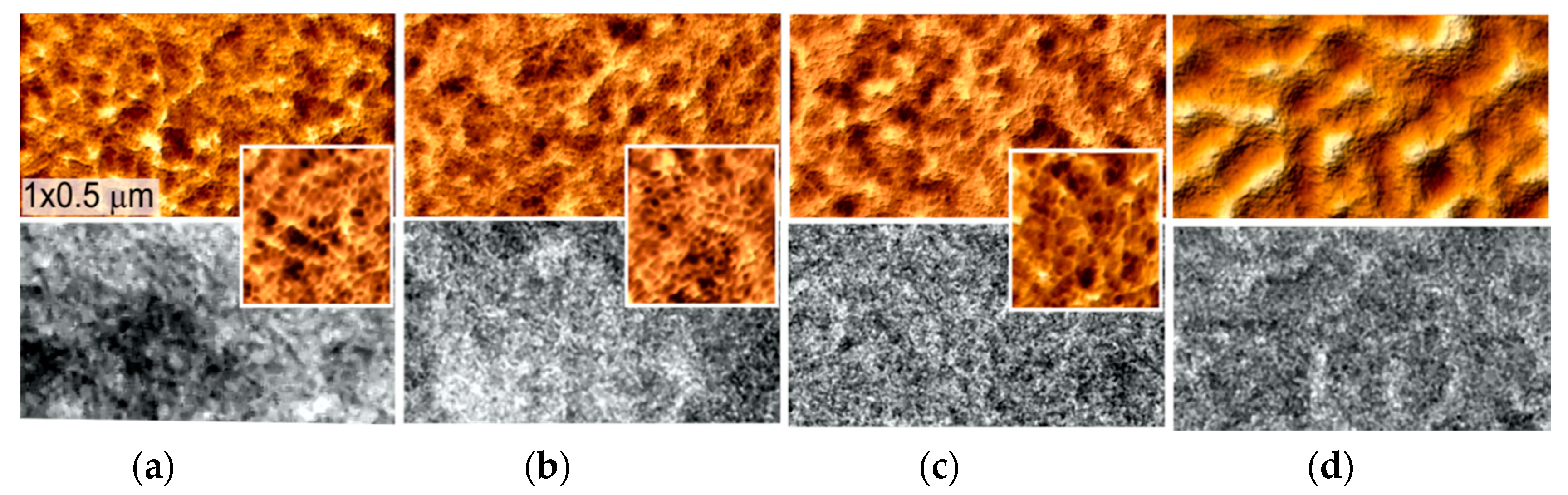 Coatings 10 00274 g007