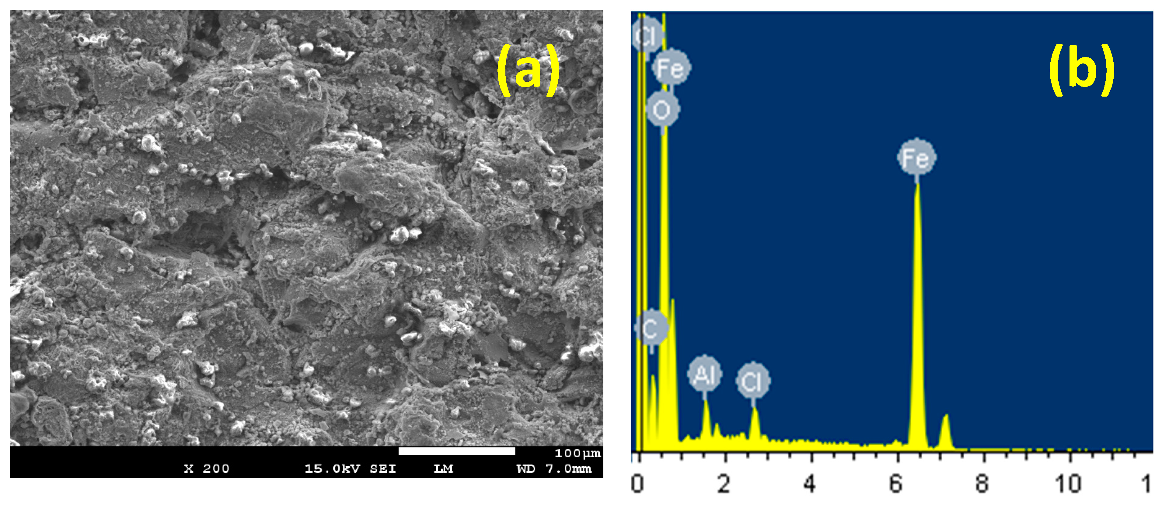 Coatings 10 00275 g011