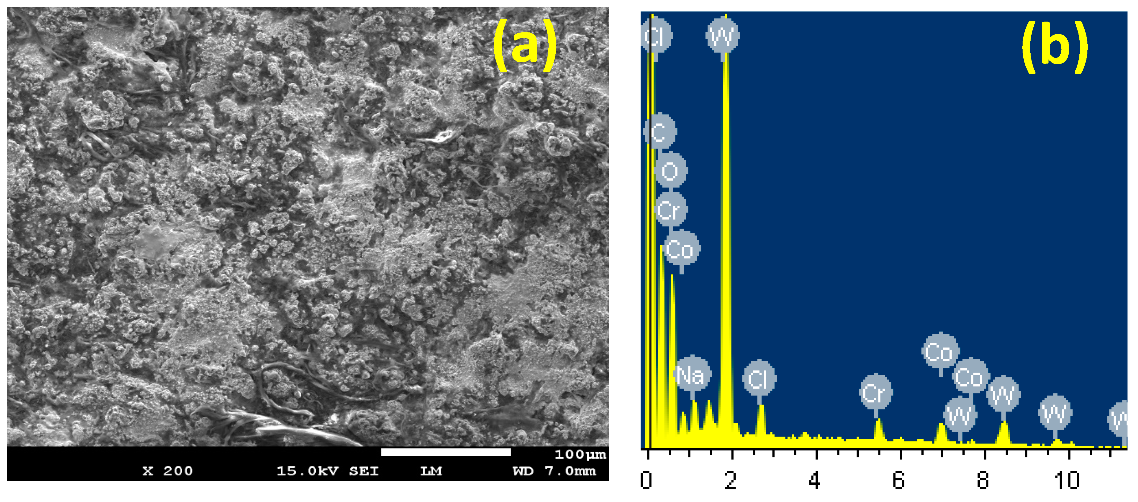 Coatings 10 00275 g013