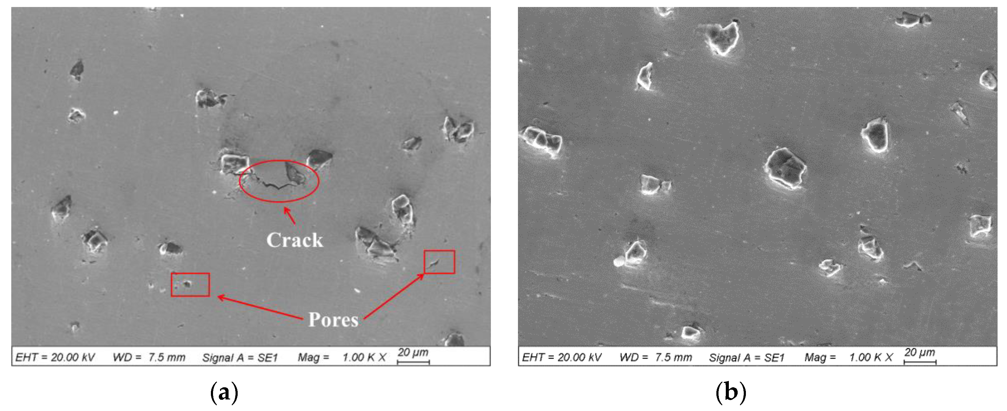 Coatings 10 00276 g005 Coatings 10 00276 g005