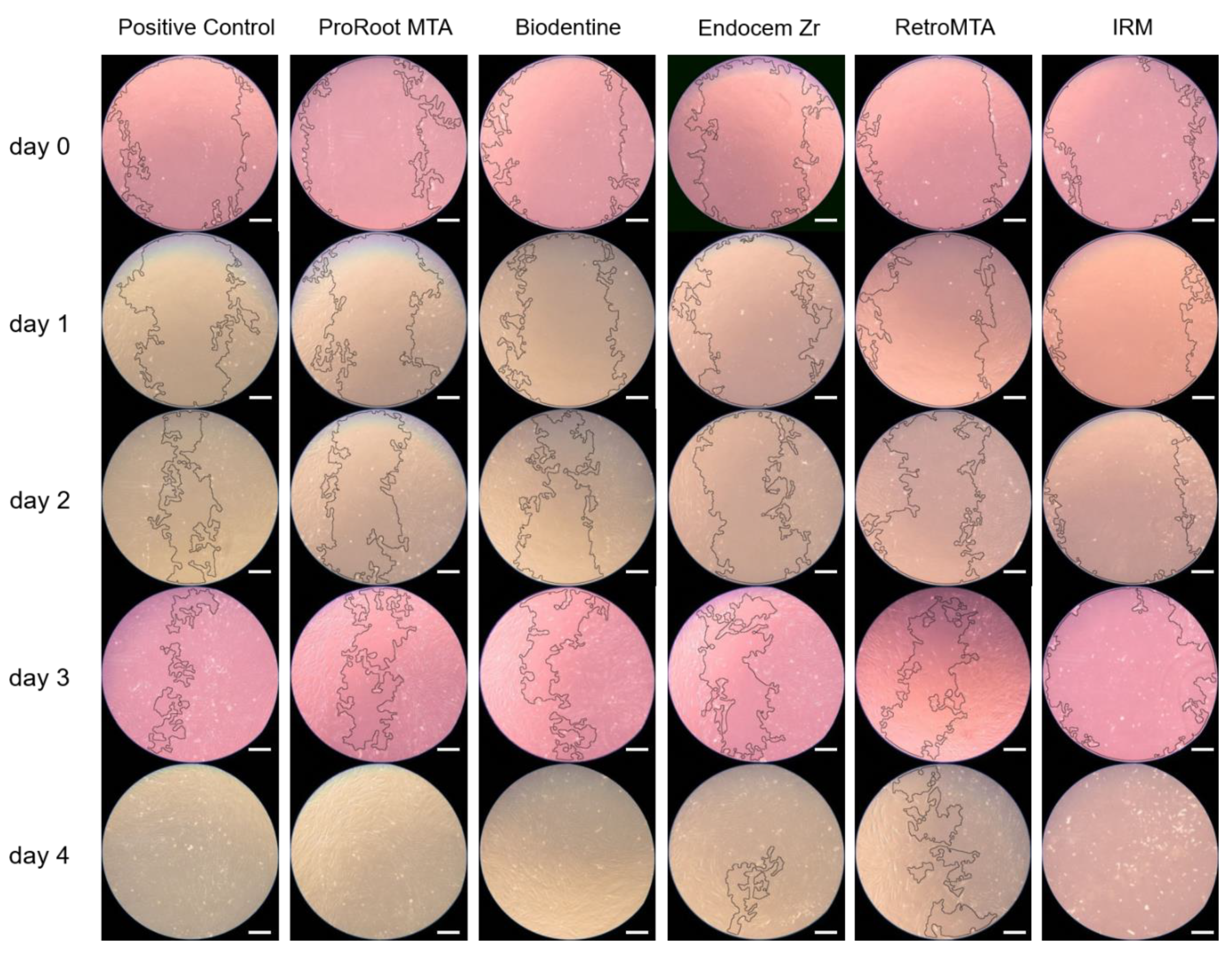 Coatings 10 00279 g003 Coatings 10 00279 g003