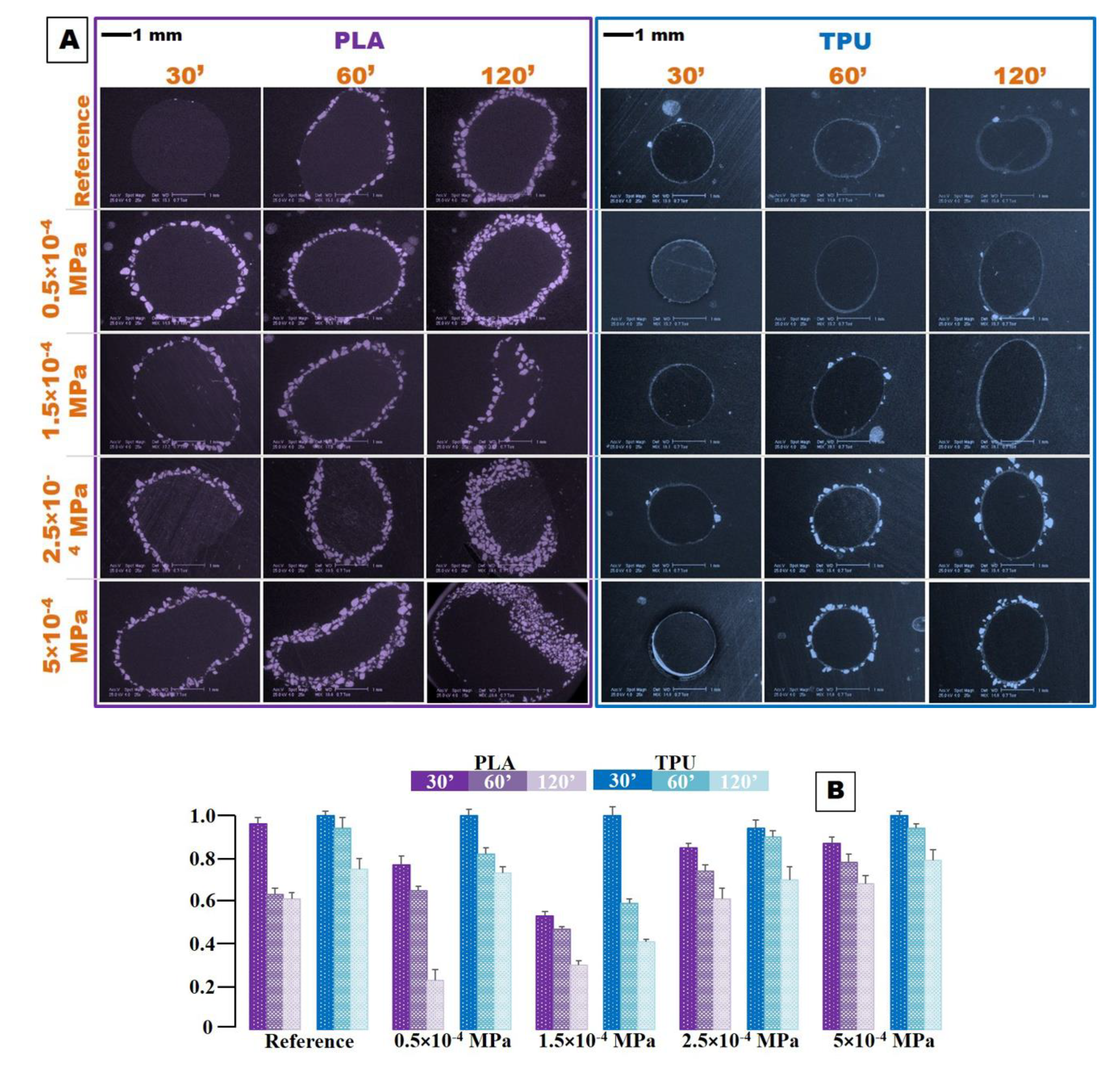 Coatings 10 00283 g005 Coatings 10 00283 g005