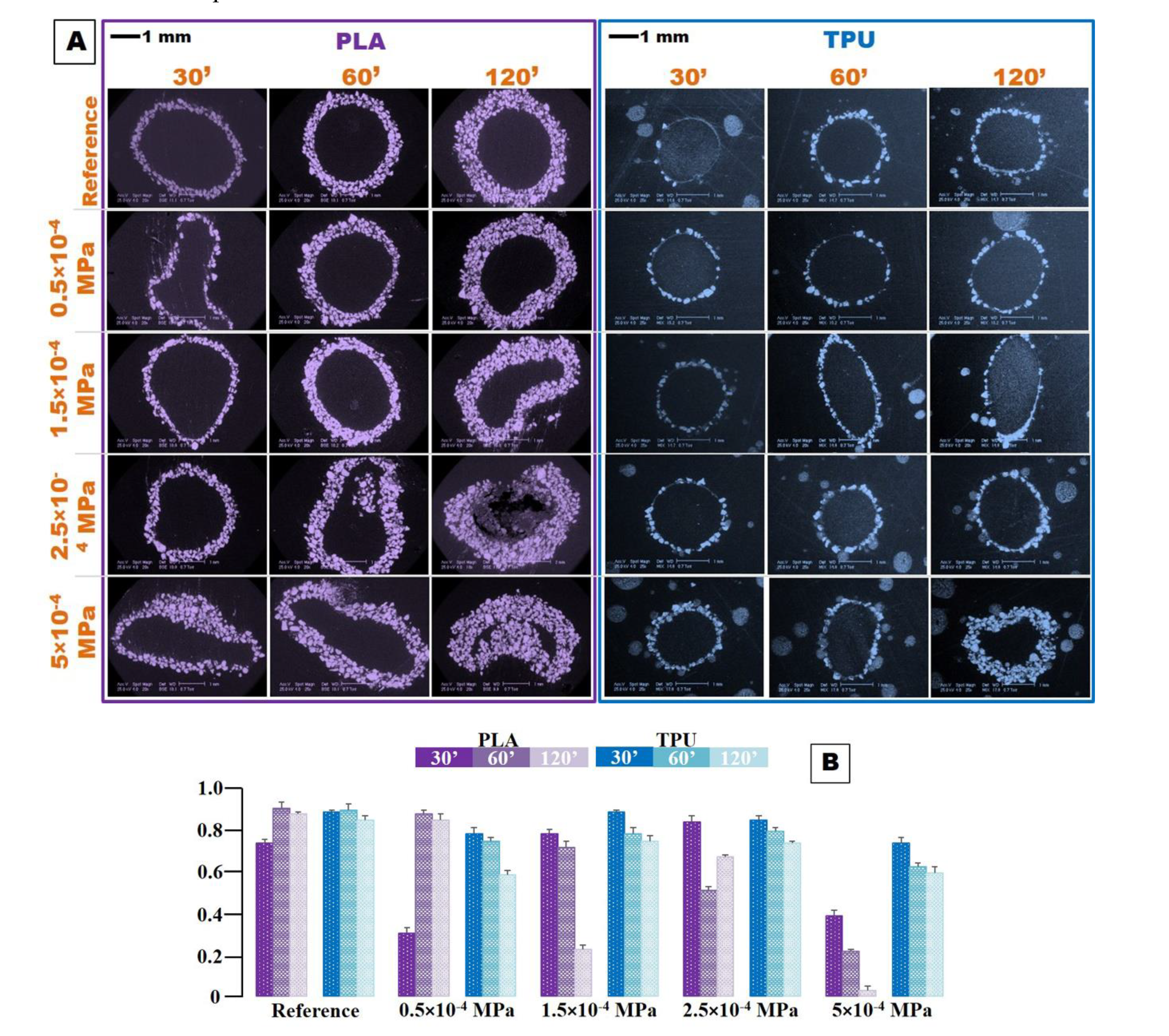 Coatings 10 00283 g007 Coatings 10 00283 g007