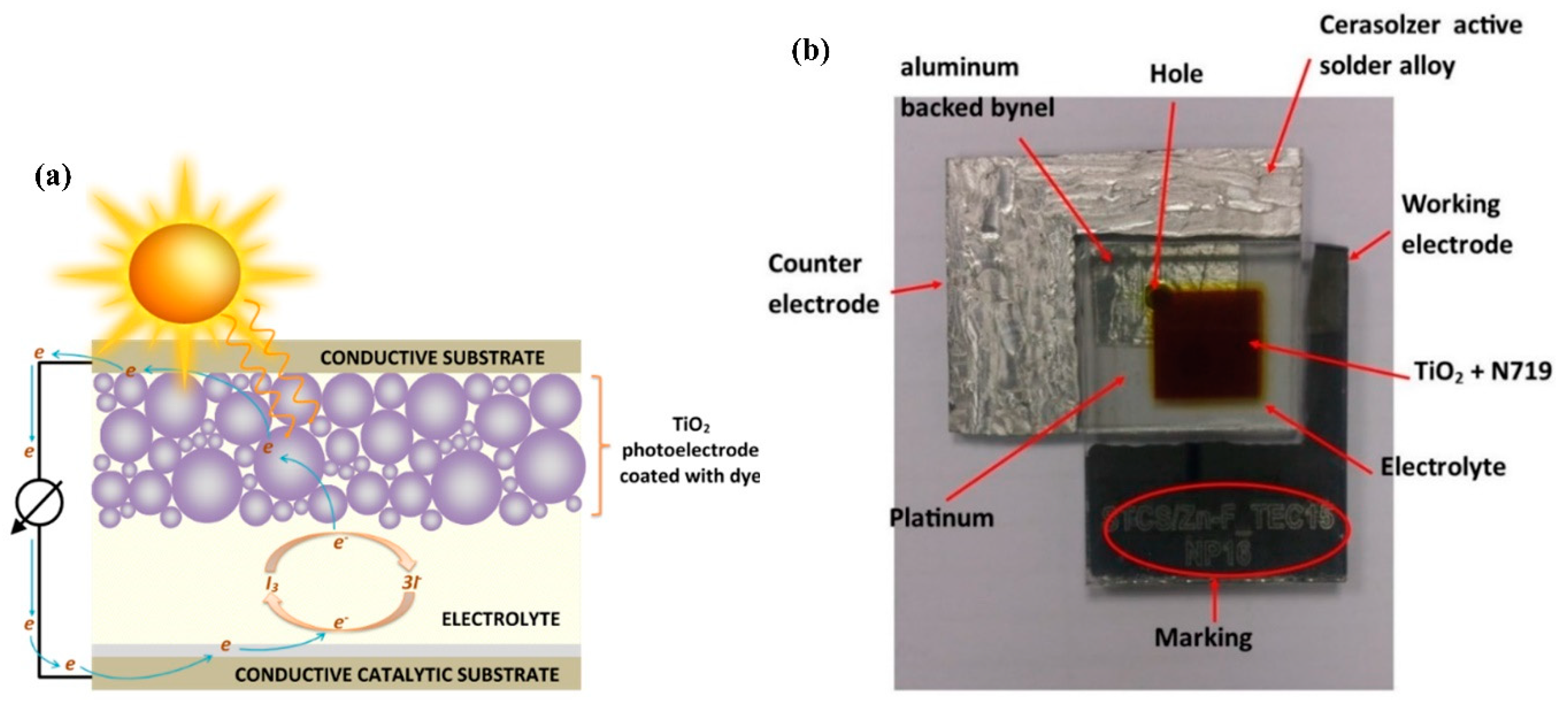Coatings 10 00284 g002 Coatings 10 00284 g002