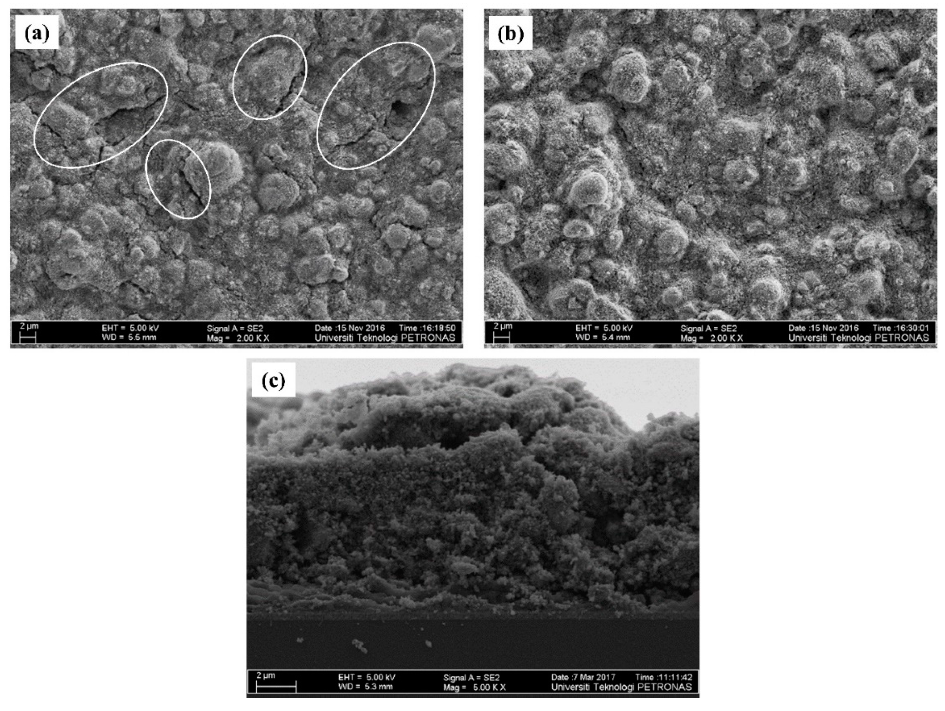 Coatings 10 00284 g004 Coatings 10 00284 g004