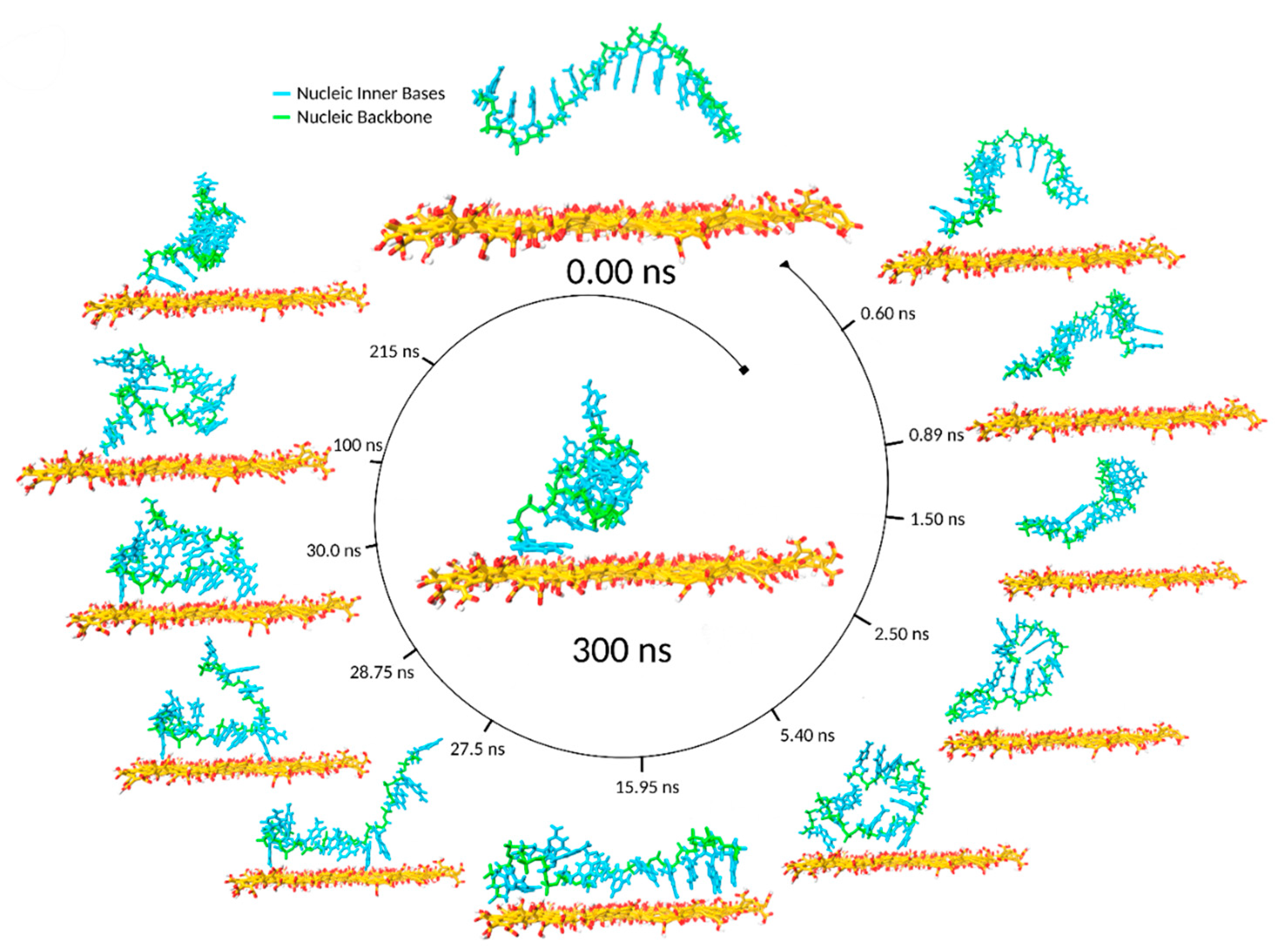 Coatings 10 00289 g005