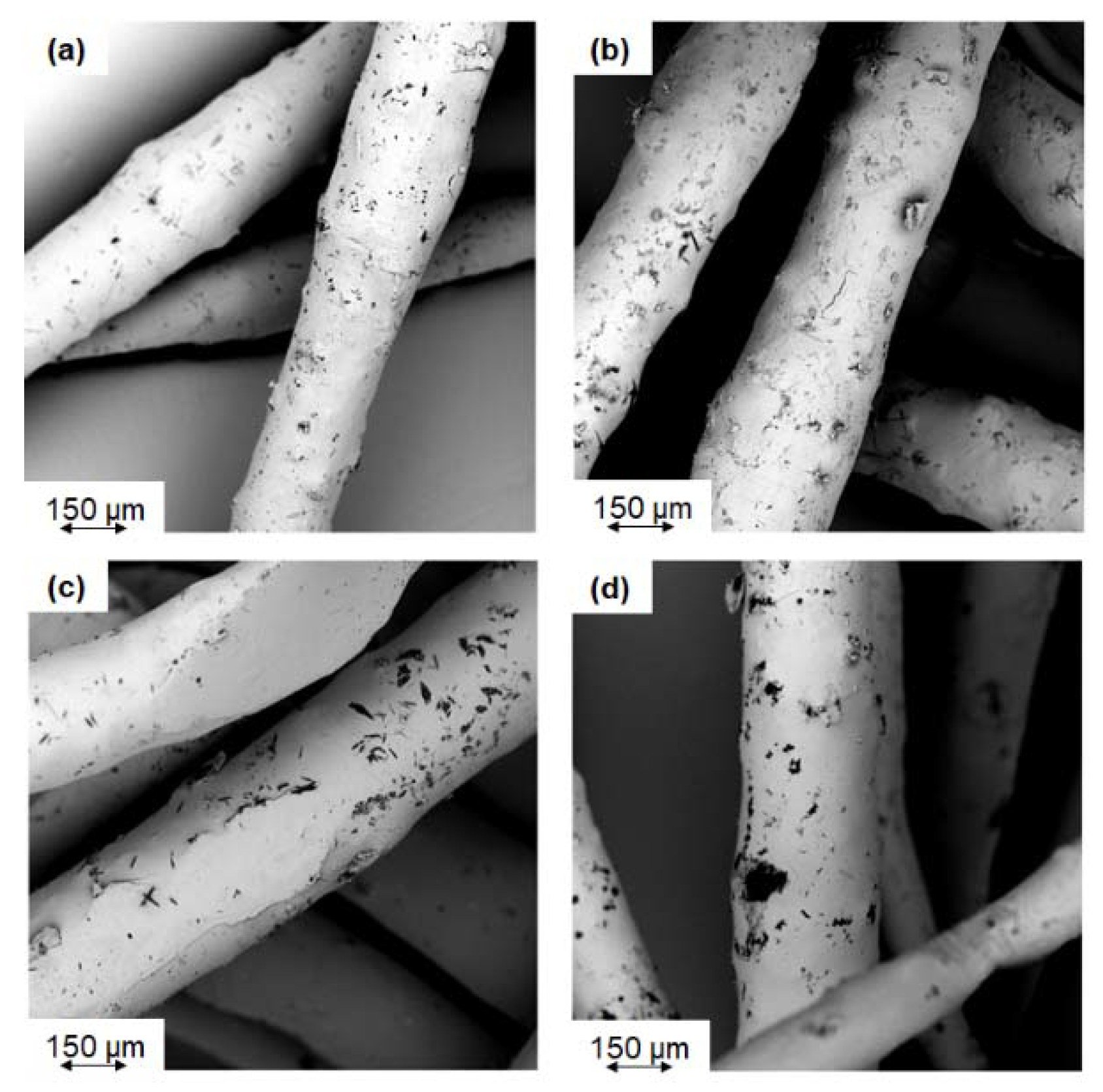 Coatings 10 00291 g007