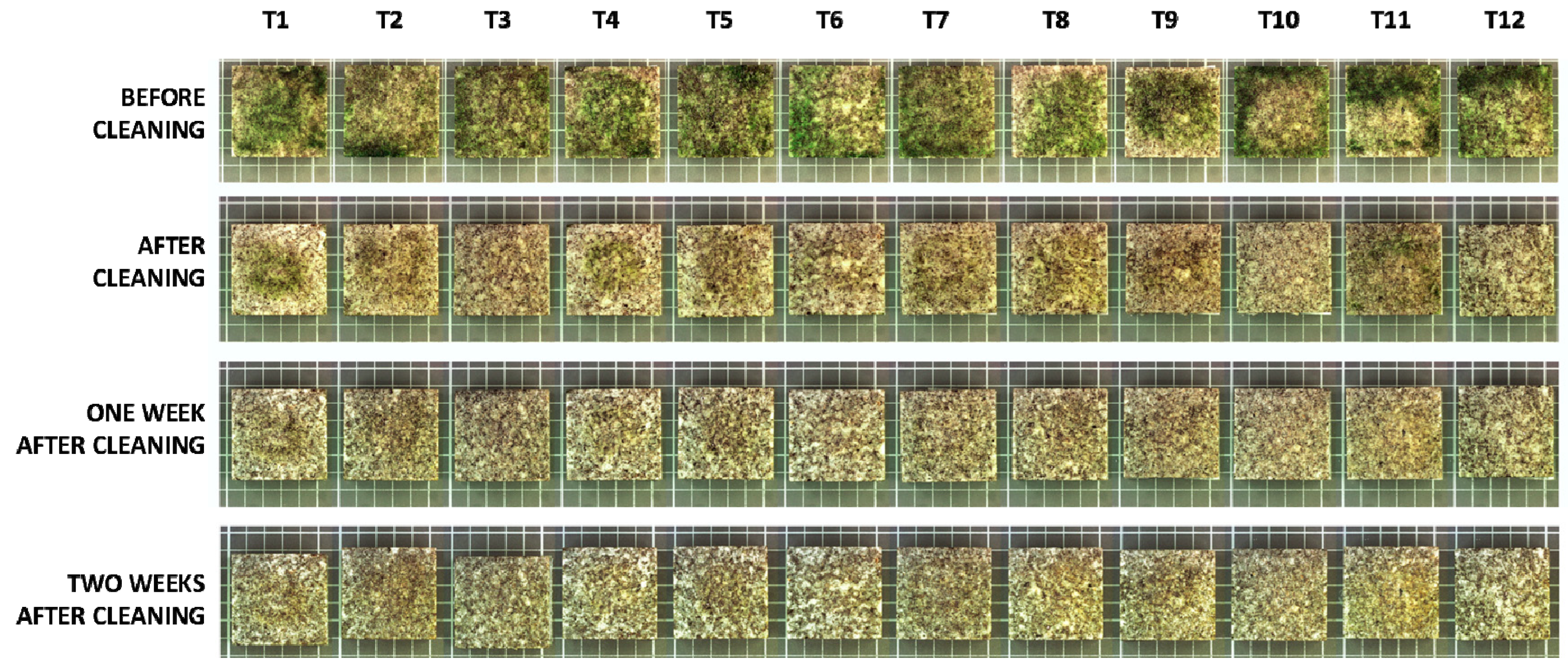 Coatings 10 00295 g003 Coatings 10 00295 g003