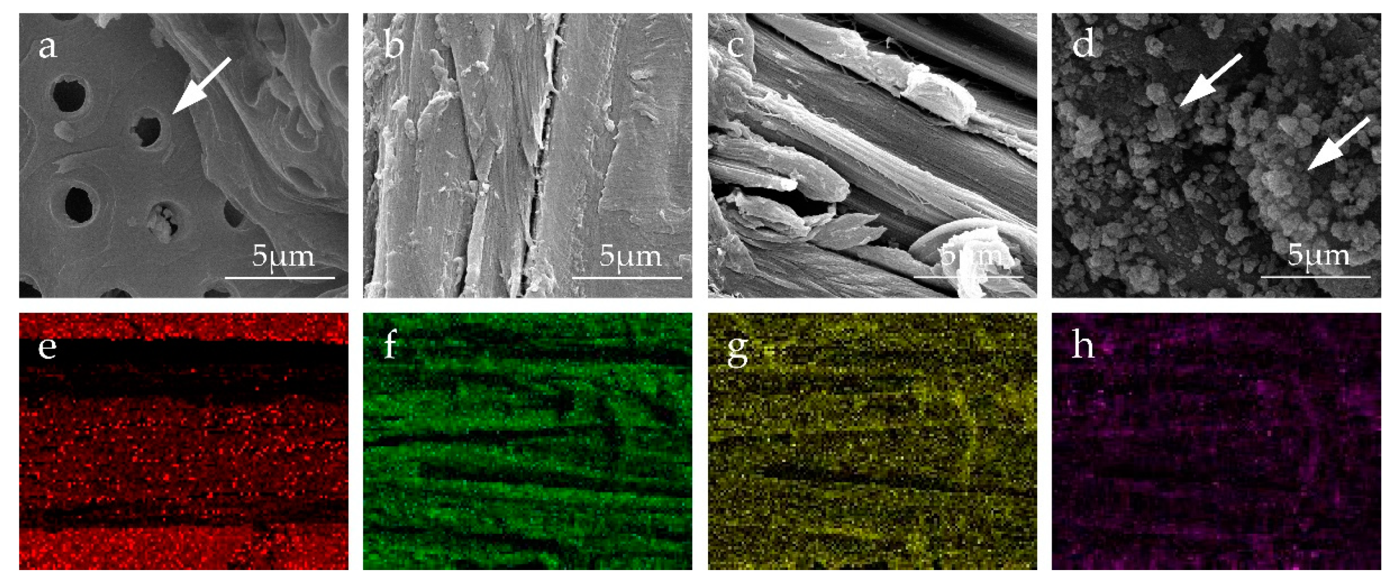 Coatings 10 00296 g002 Coatings 10 00296 g002