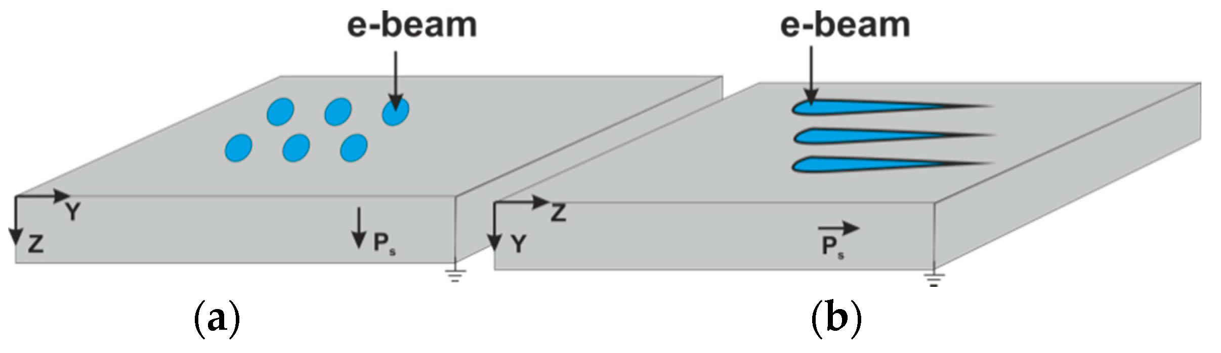 Coatings 10 00299 g001