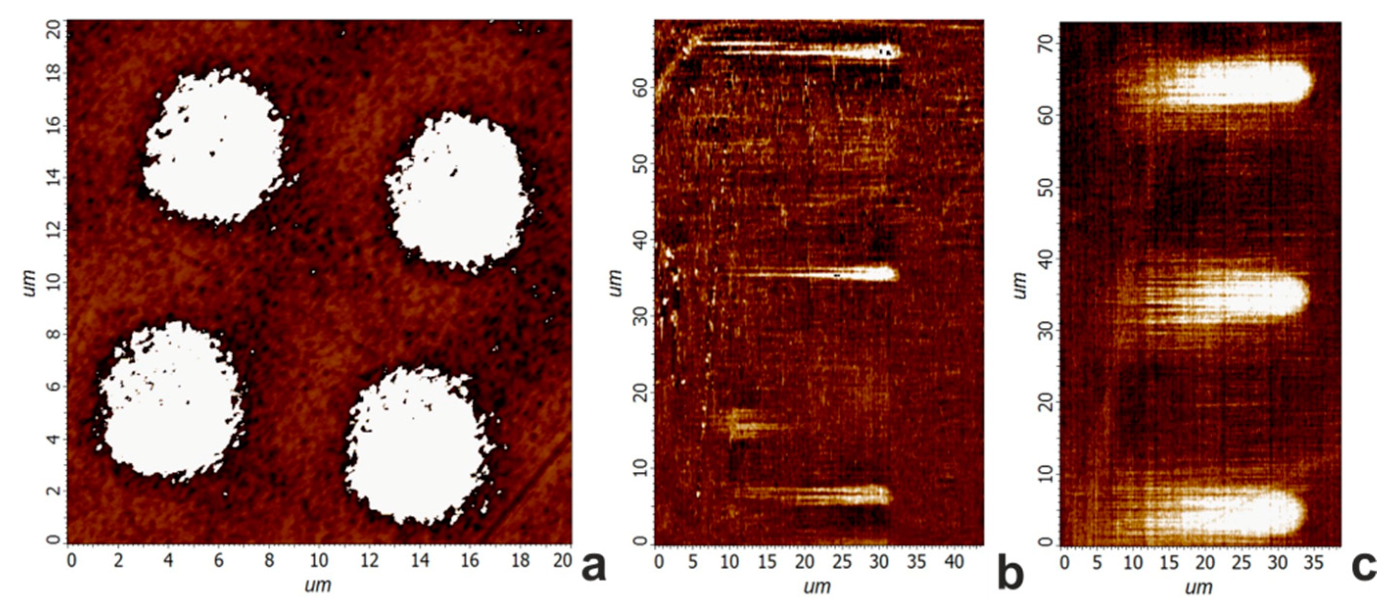 Coatings 10 00299 g002