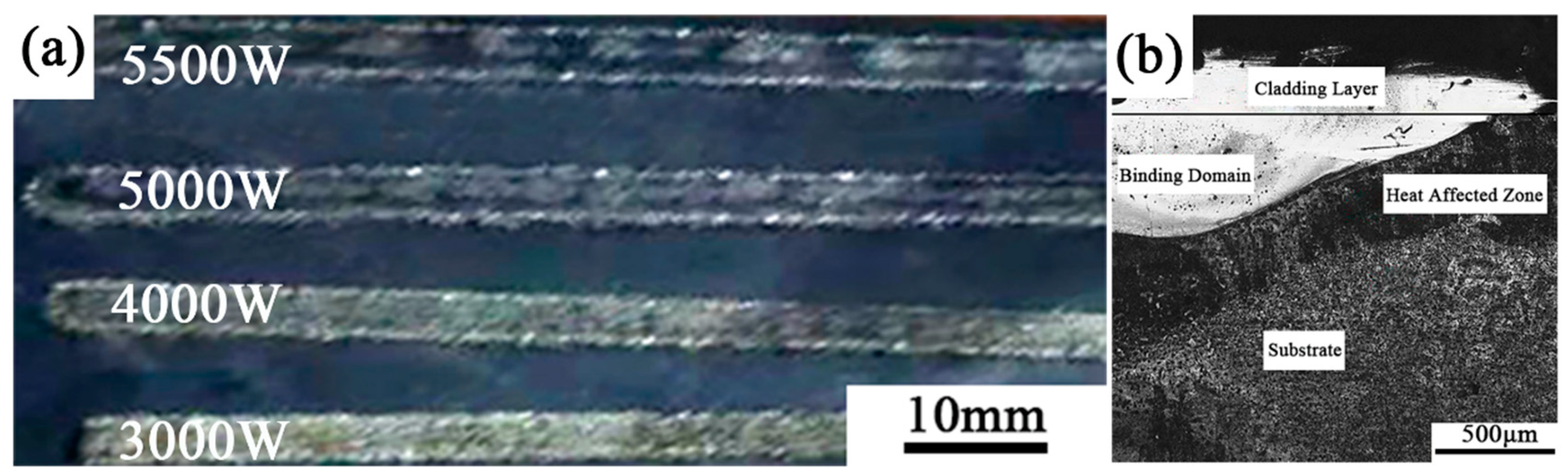 Coatings 10 00300 g001 Coatings 10 00300 g001