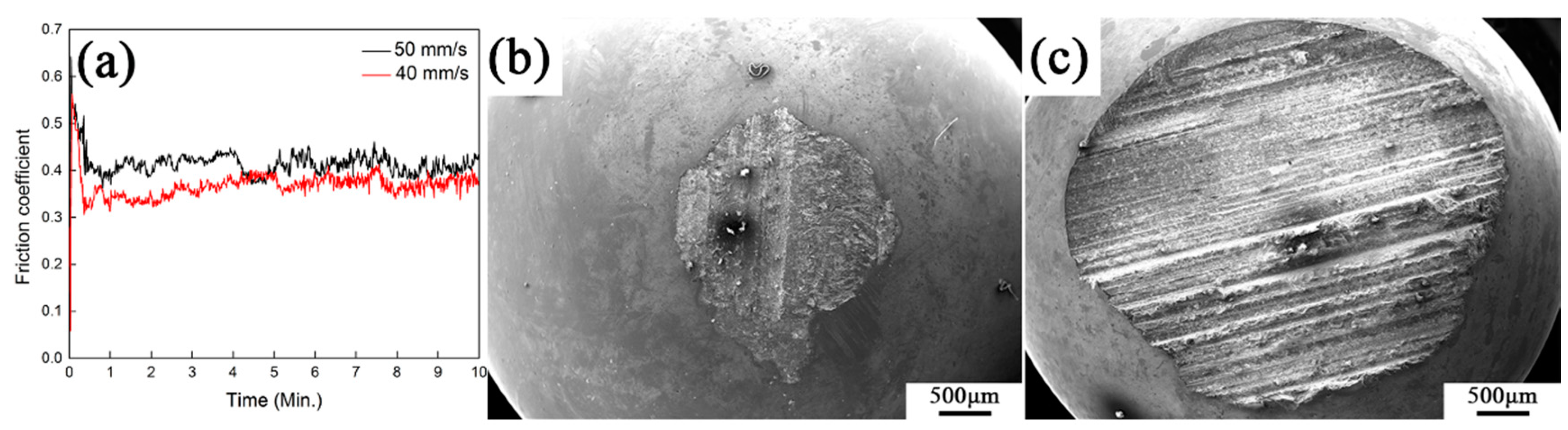 Coatings 10 00300 g007 Coatings 10 00300 g007