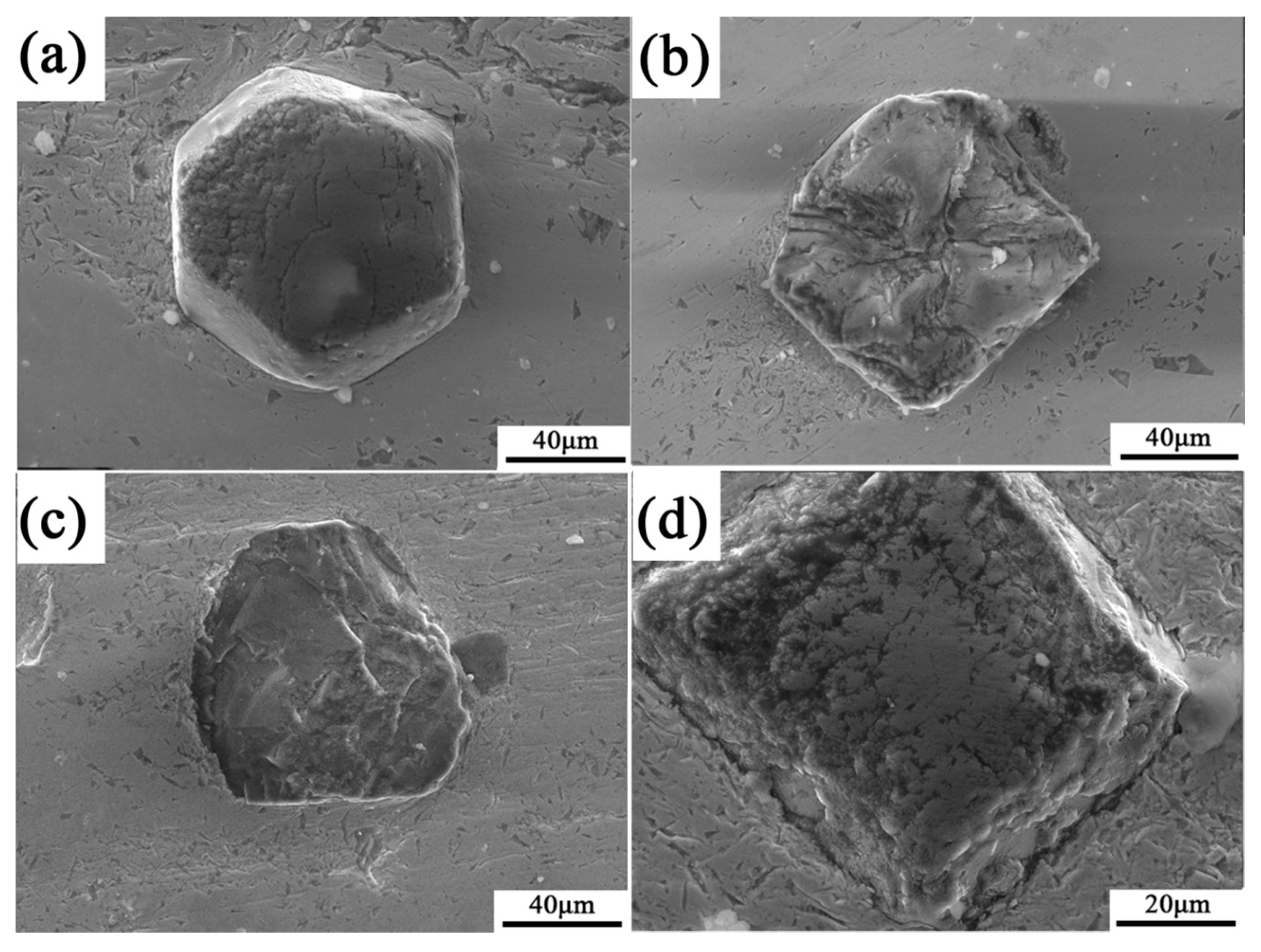 Coatings 10 00300 g008 Coatings 10 00300 g008