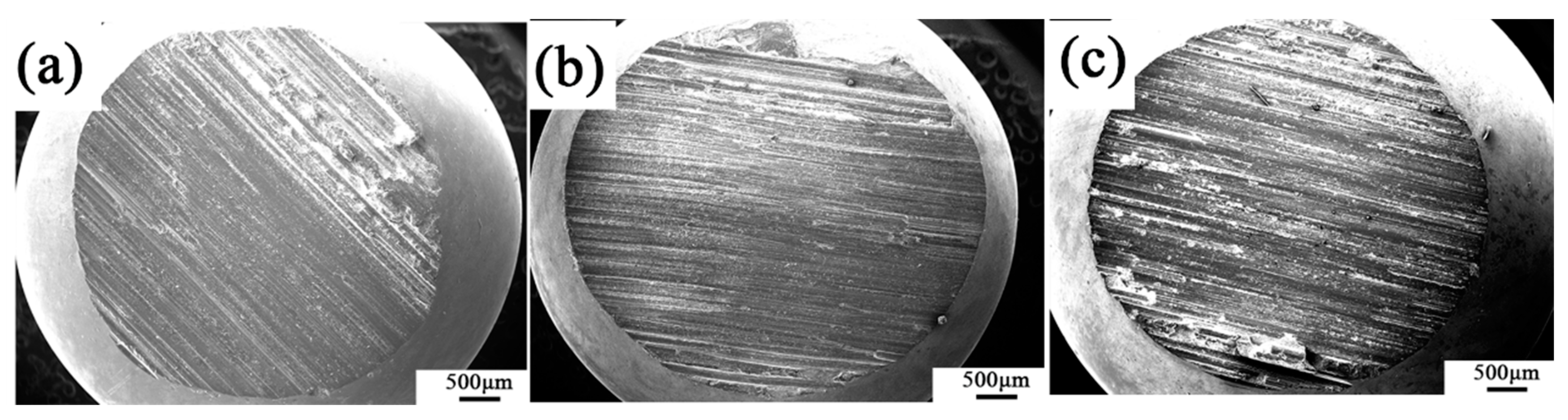 Coatings 10 00300 g013 Coatings 10 00300 g013