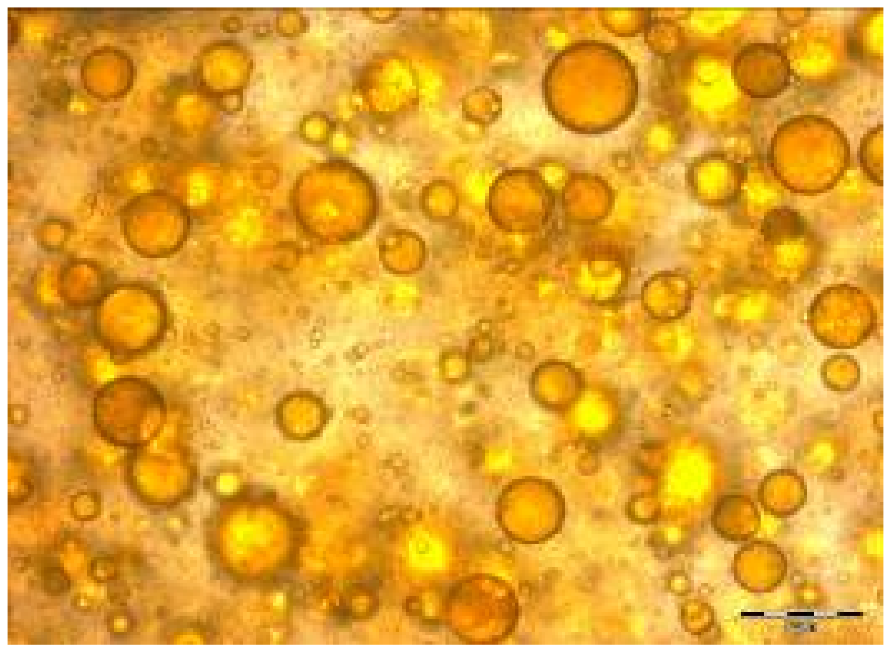 Coatings 10 00302 g002 Coatings 10 00302 g002