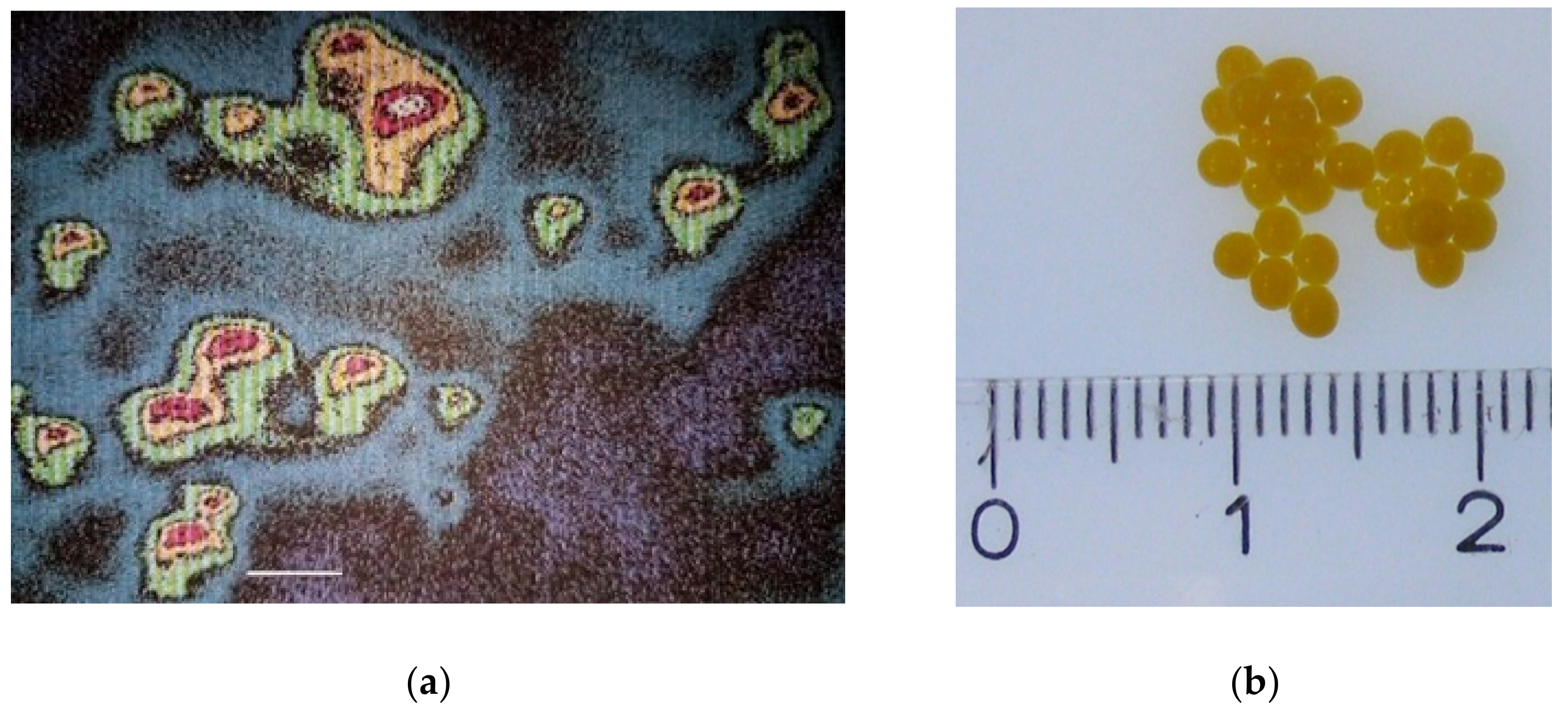 Coatings 10 00302 g003 Coatings 10 00302 g003
