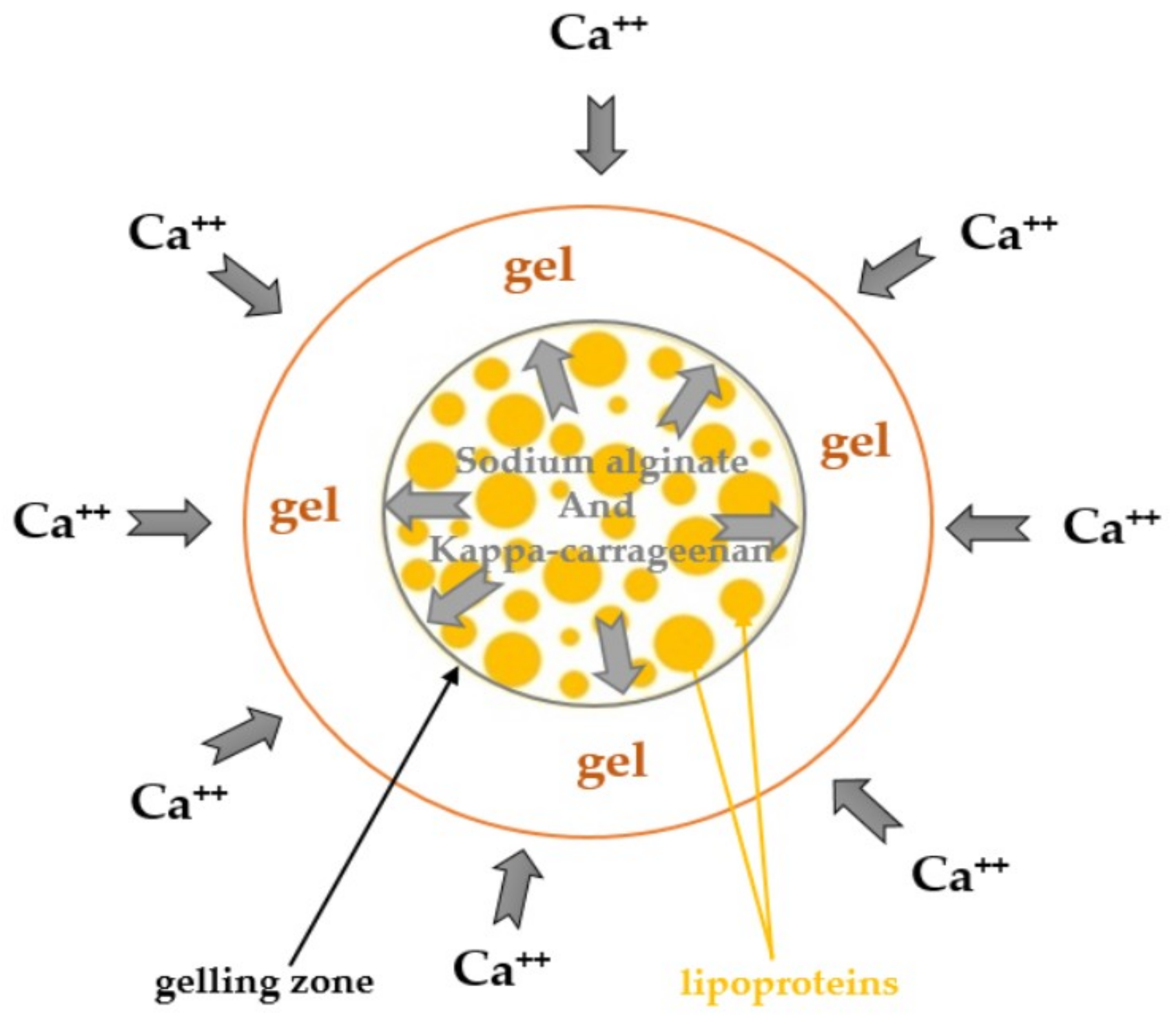 Coatings 10 00302 g005 Coatings 10 00302 g005