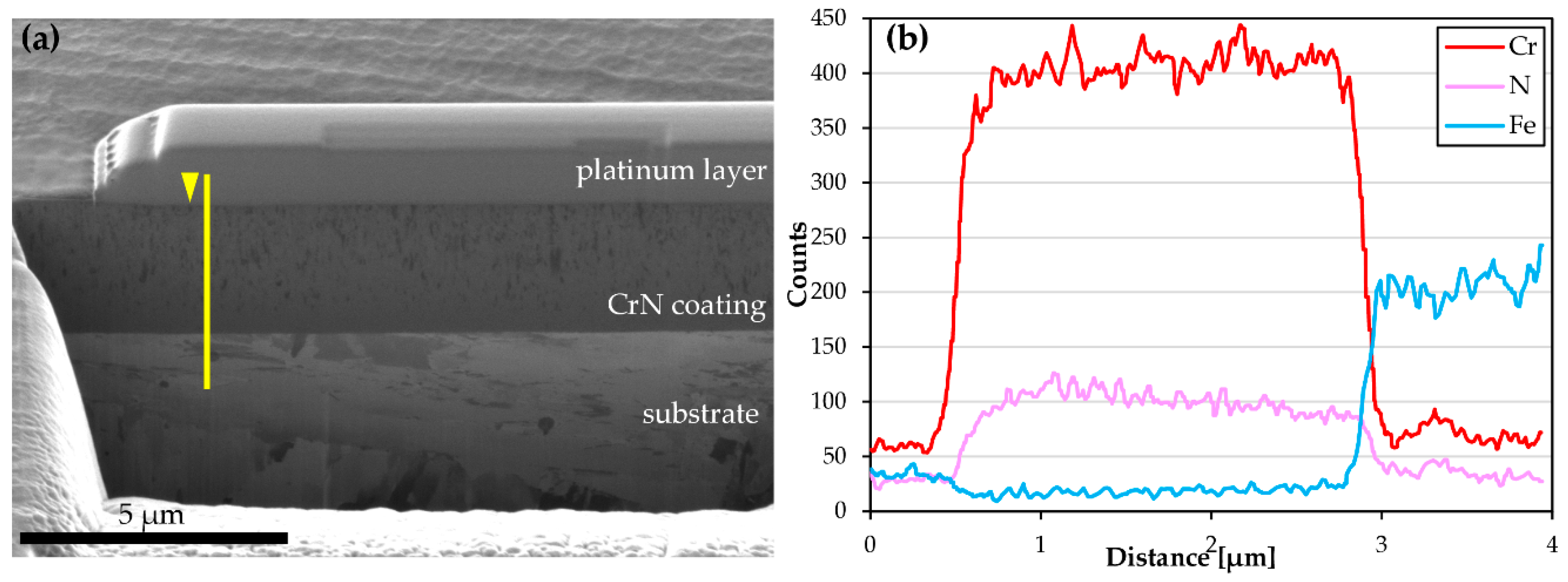 Coatings 10 00303 g002
