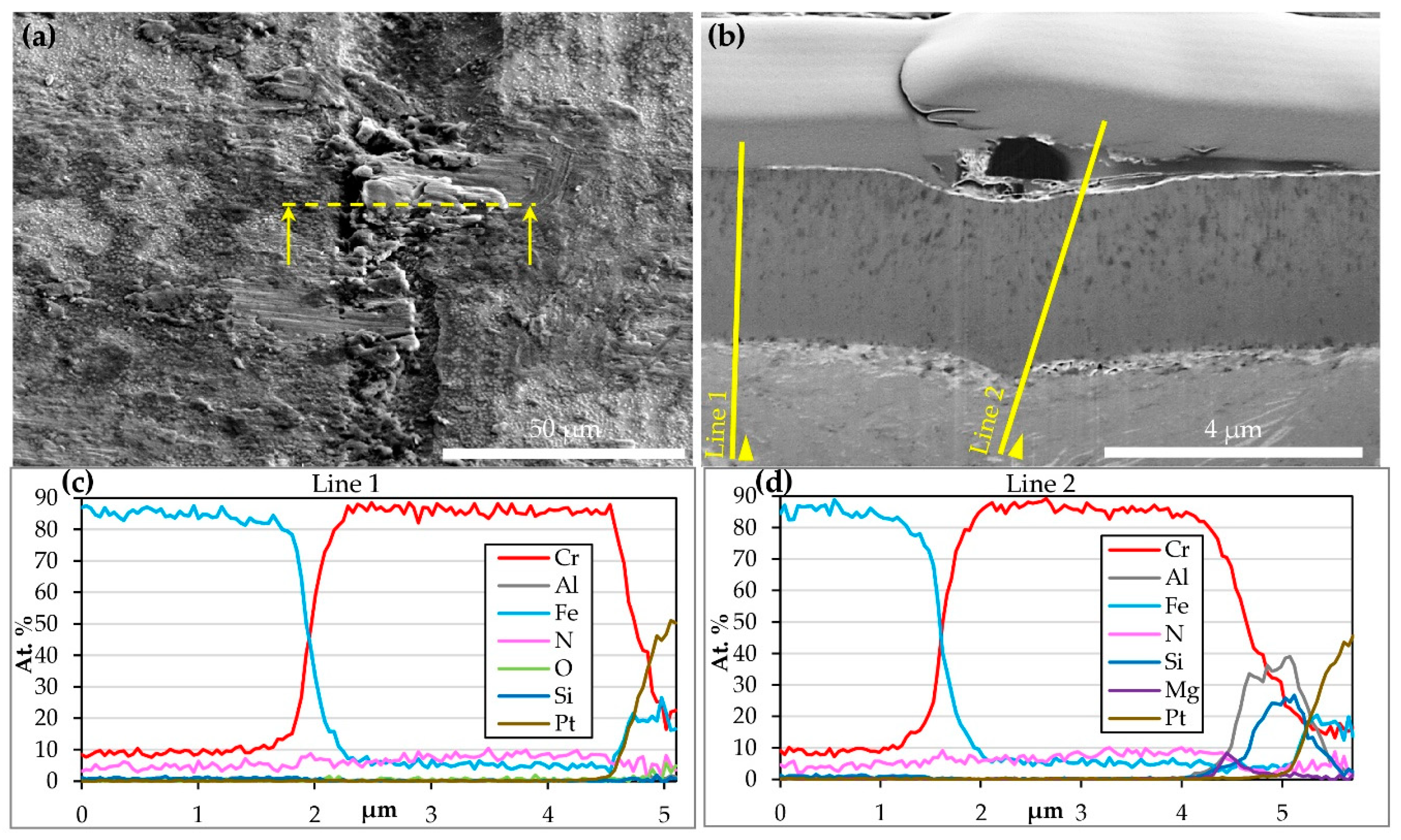 Coatings 10 00303 g004