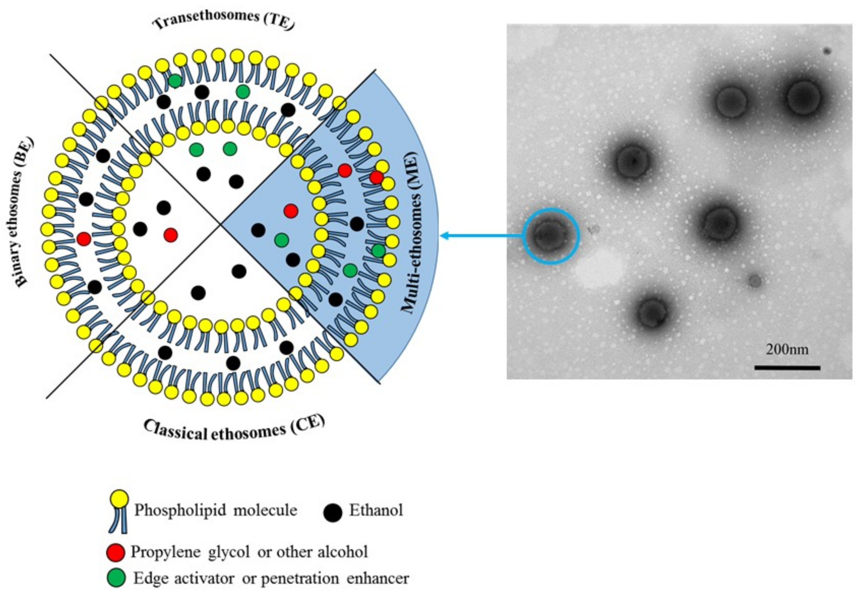 Coatings 10 00304 g001 Coatings 10 00304 g001