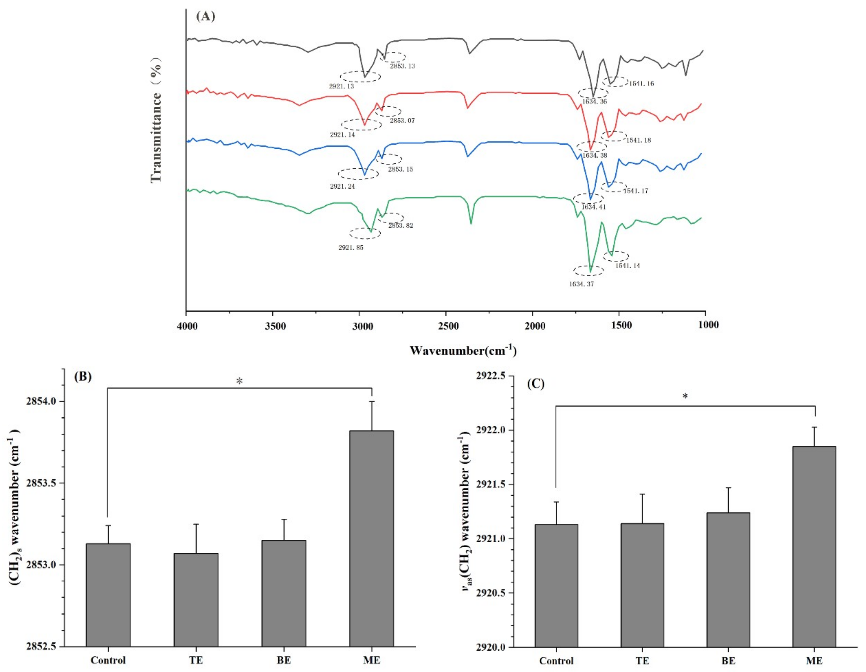 Coatings 10 00304 g005 Coatings 10 00304 g005
