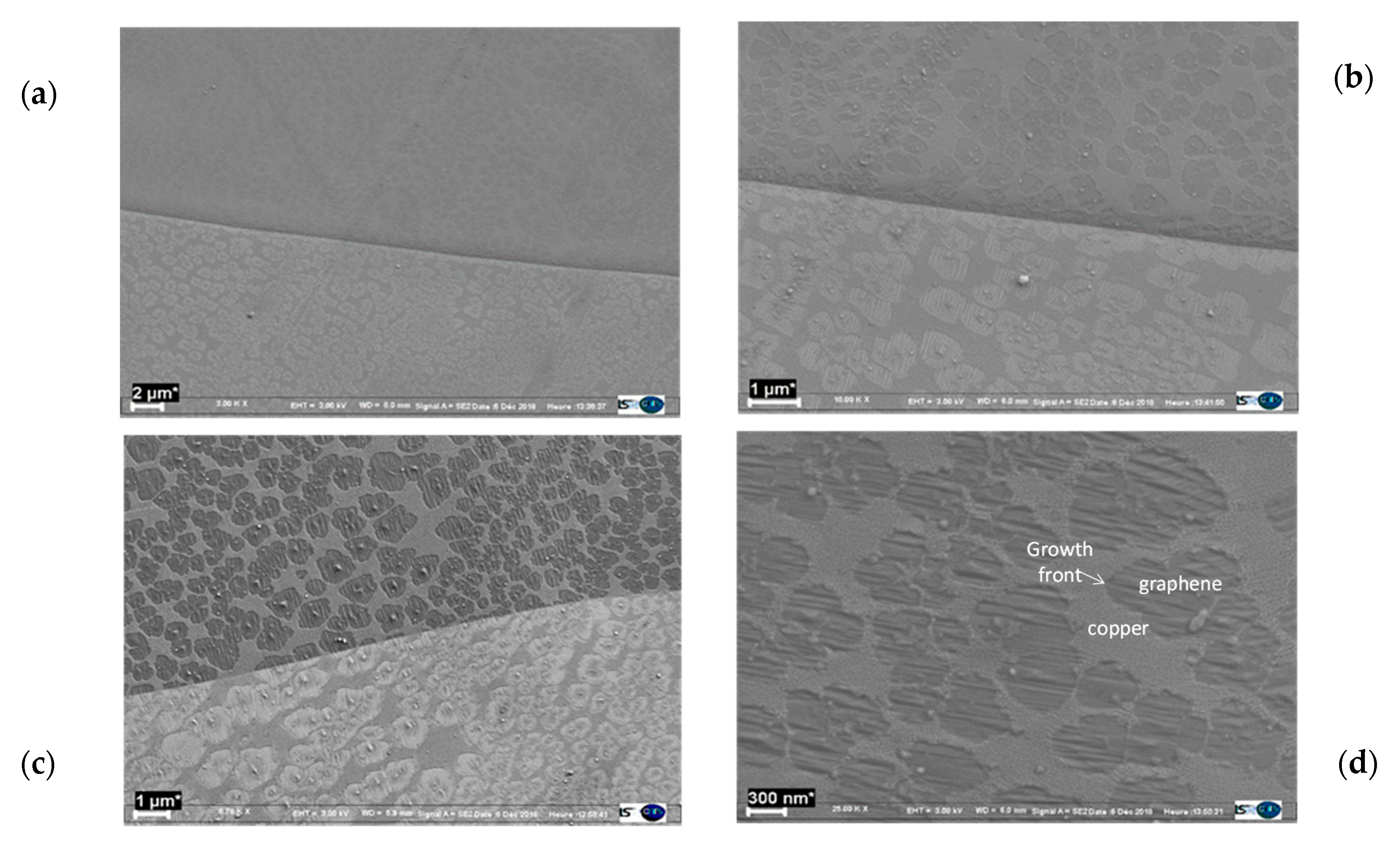 Coatings 10 00305 g010