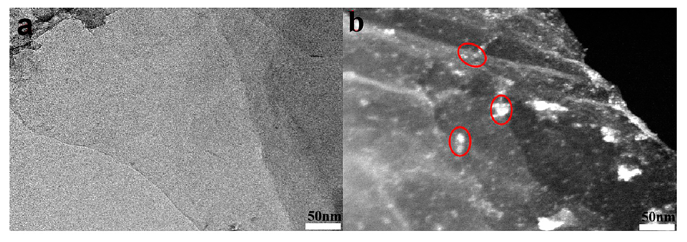 Coatings 10 00307 g004 Coatings 10 00307 g004