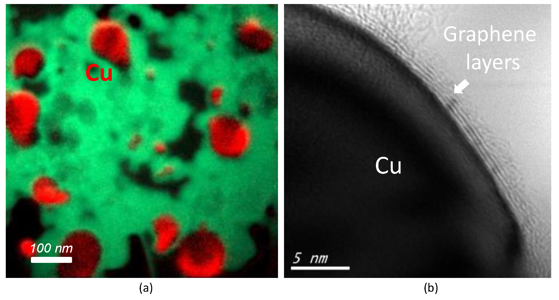 Coatings 10 00308 g004 Coatings 10 00308 g004