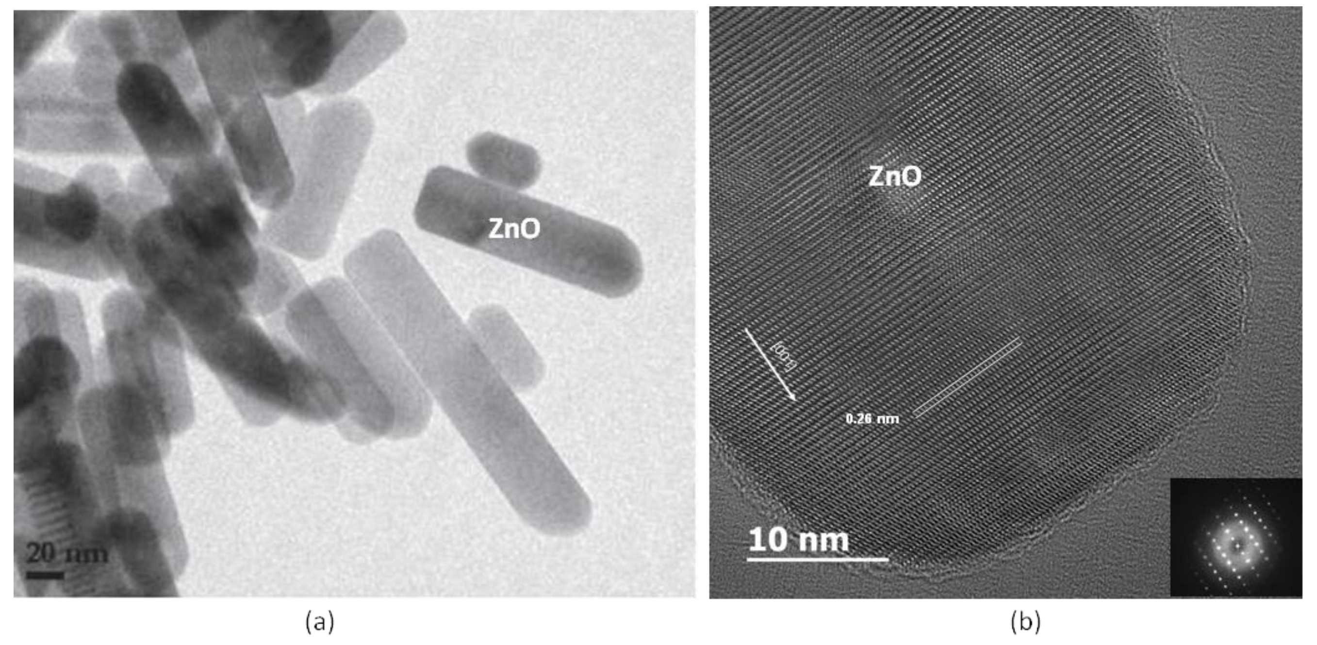 Coatings 10 00308 g006 Coatings 10 00308 g006