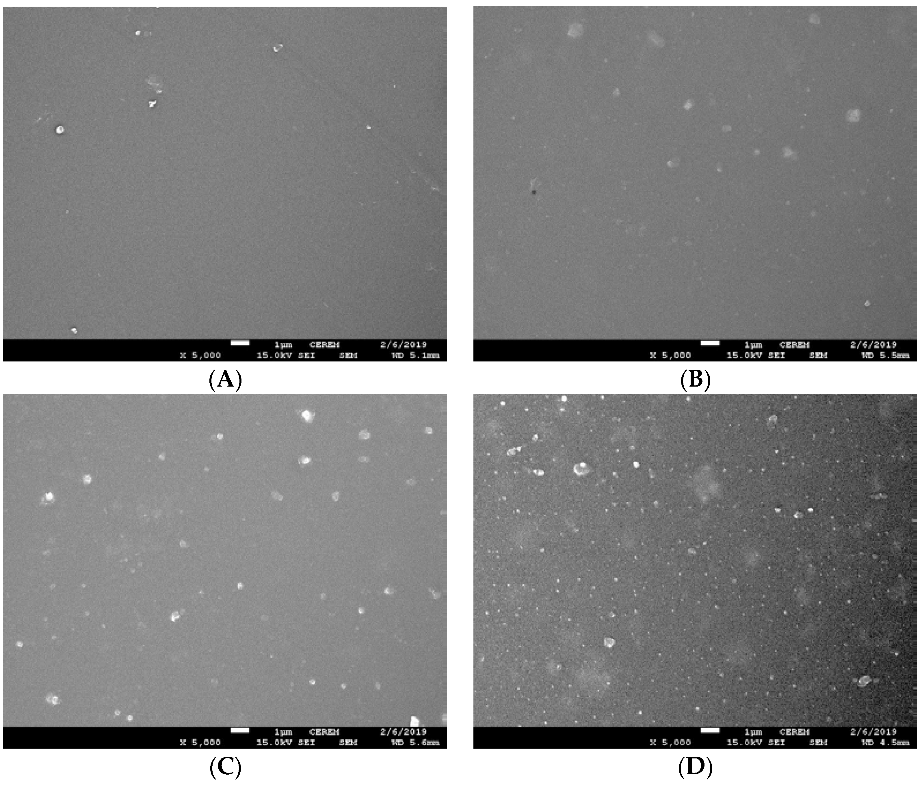 Coatings 10 00310 g001