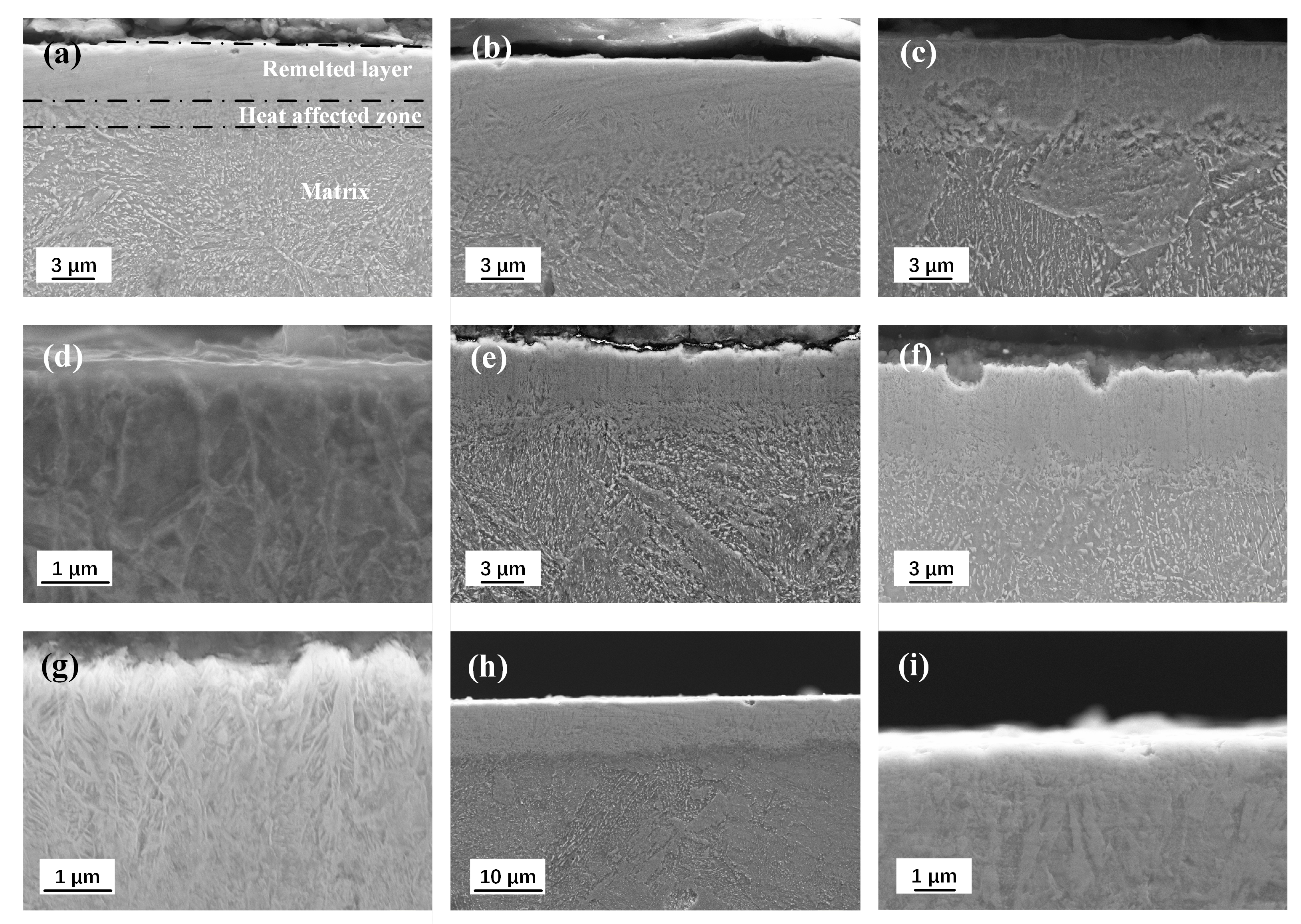 Coatings 10 00311 g004