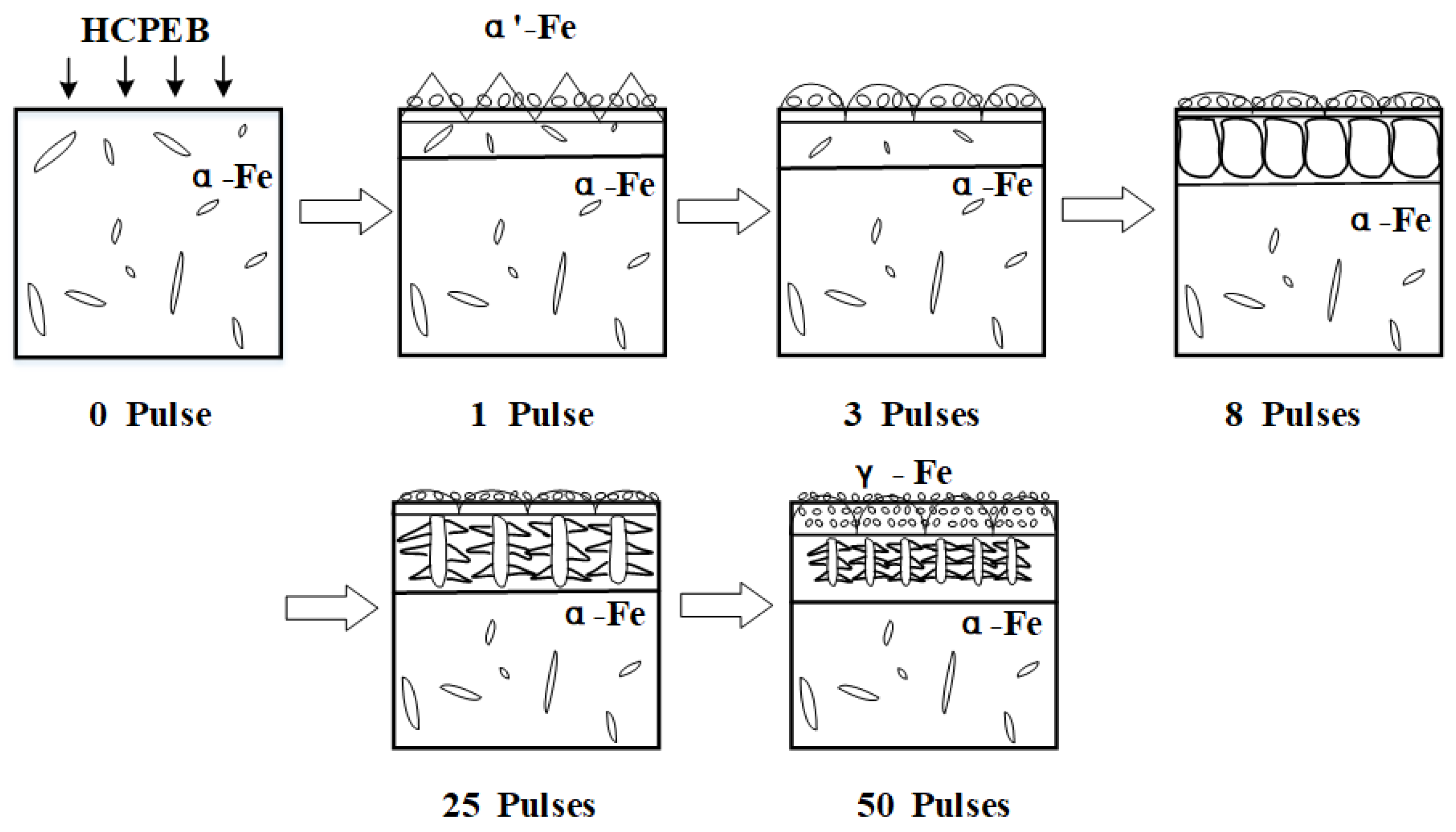 Coatings 10 00311 g007