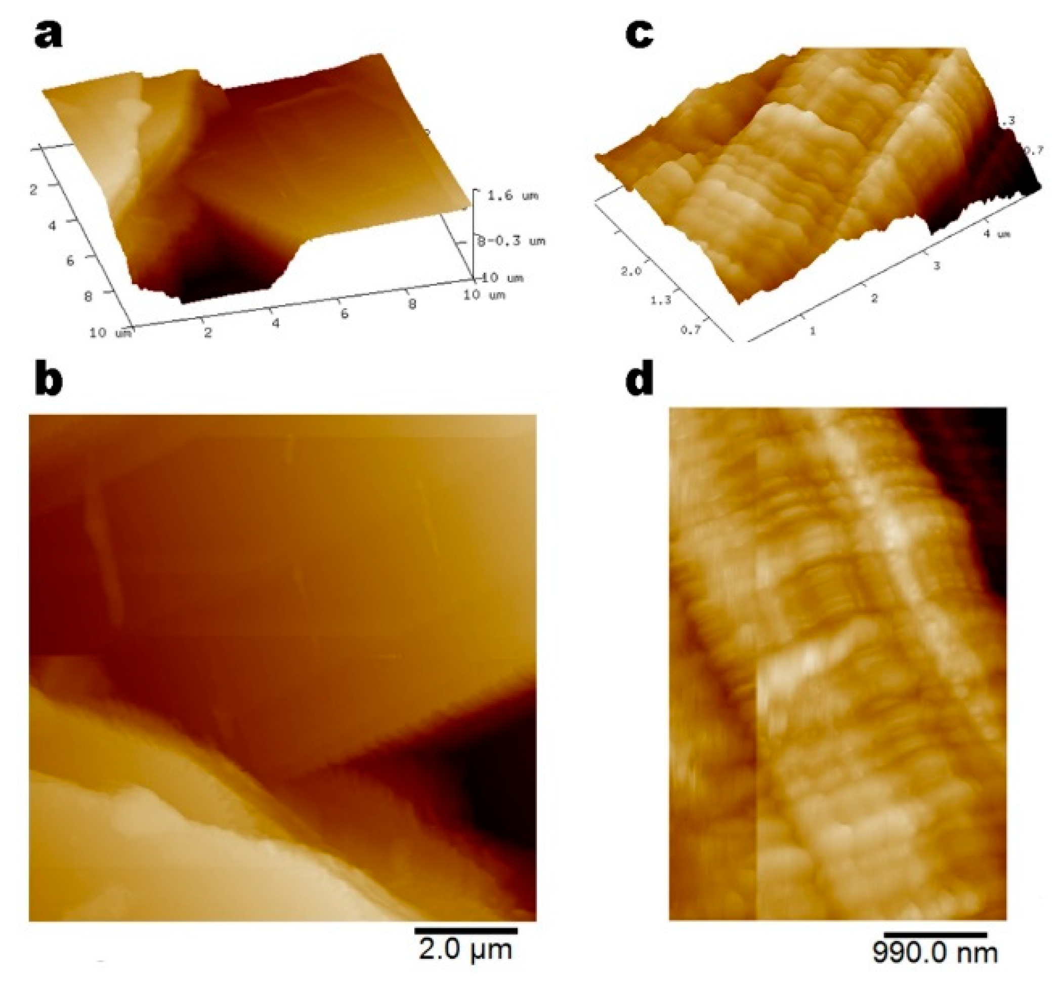 Coatings 10 00314 g002 Coatings 10 00314 g002