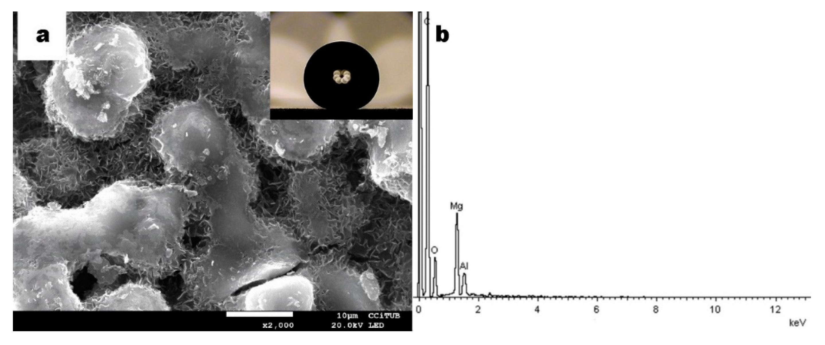 Coatings 10 00314 g013 Coatings 10 00314 g013