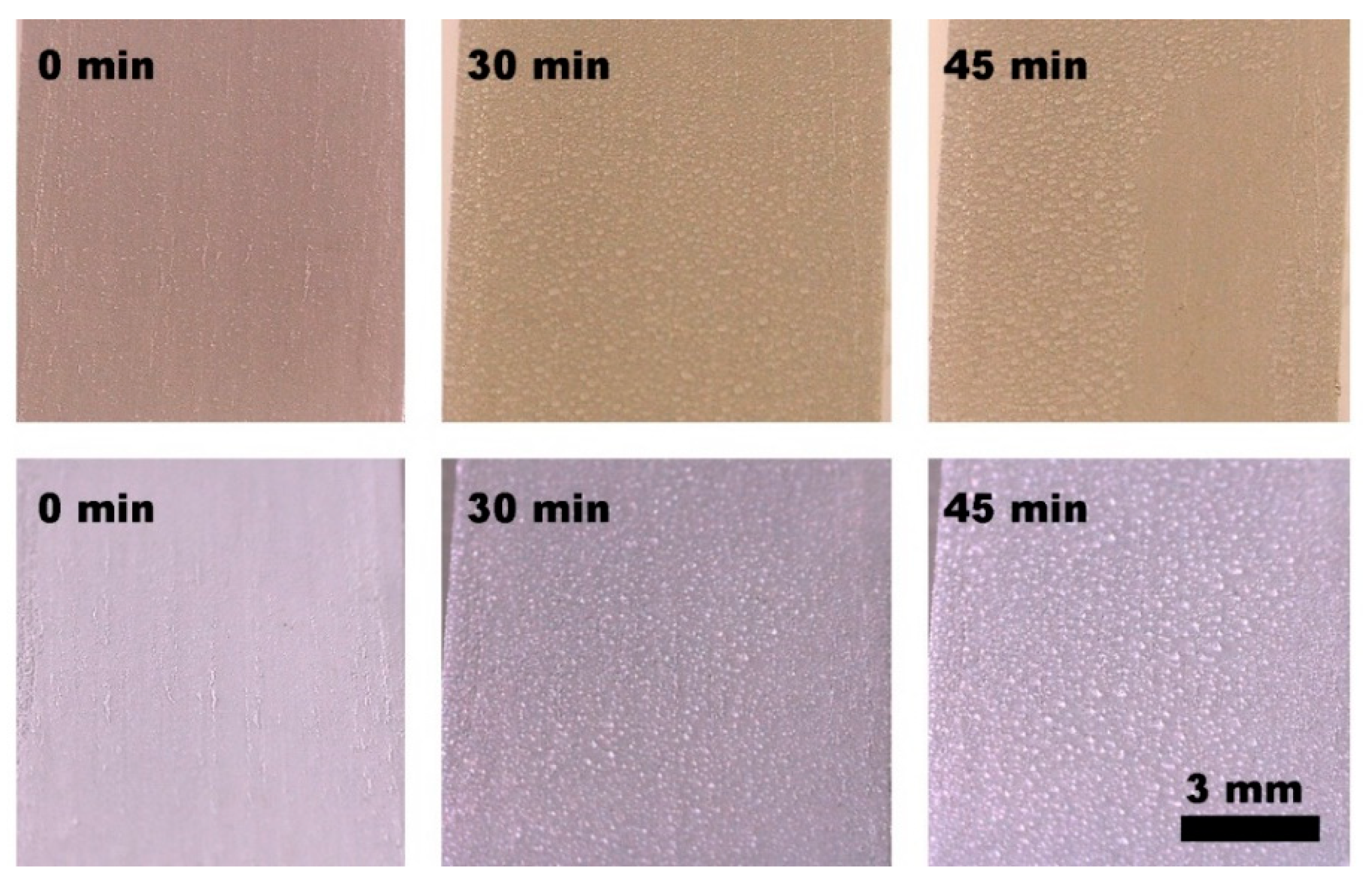 Coatings 10 00314 g015 Coatings 10 00314 g015