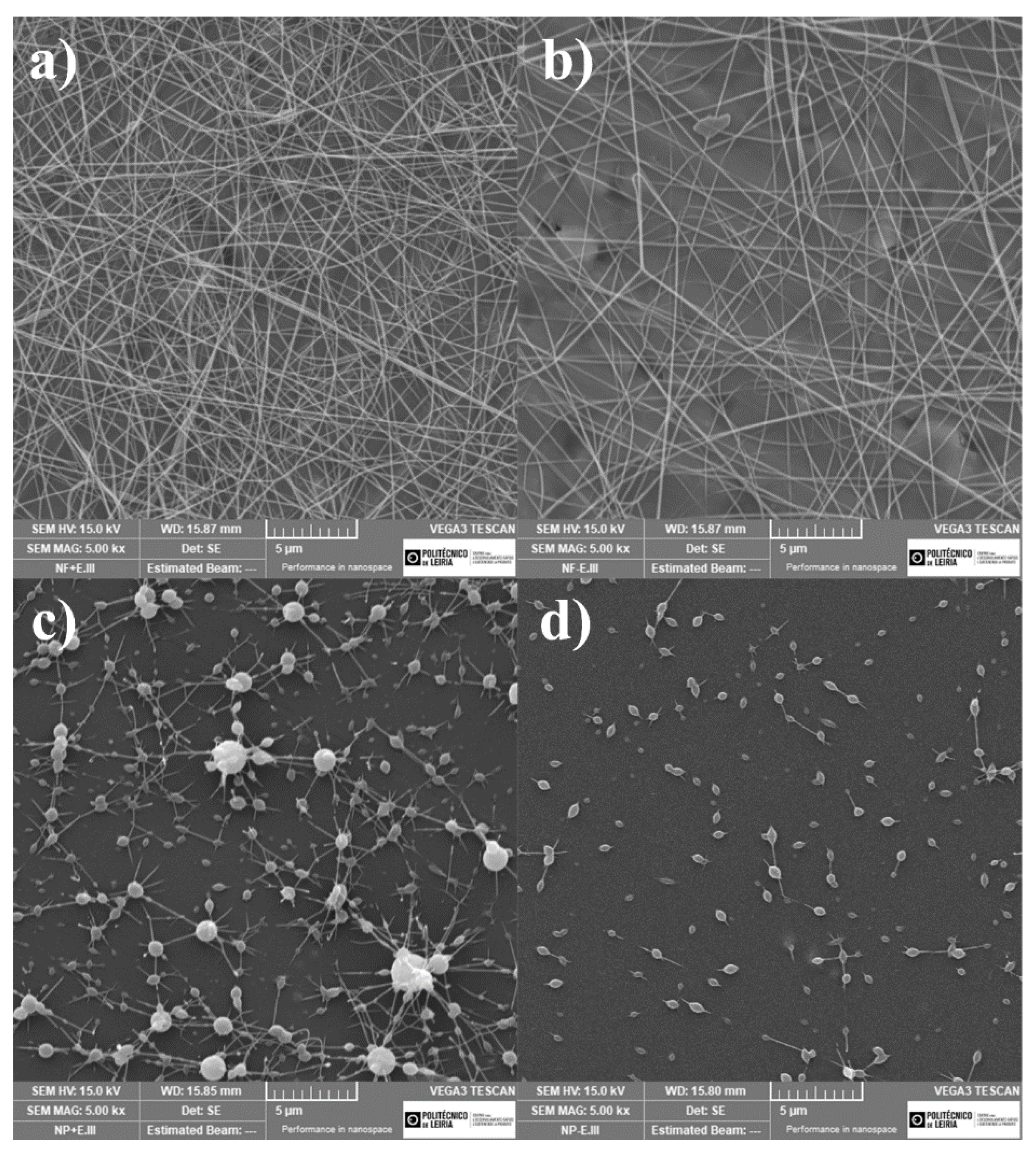 Coatings 10 00315 g004