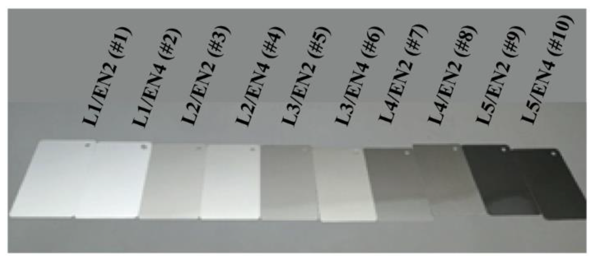 Coatings 10 00316 g001