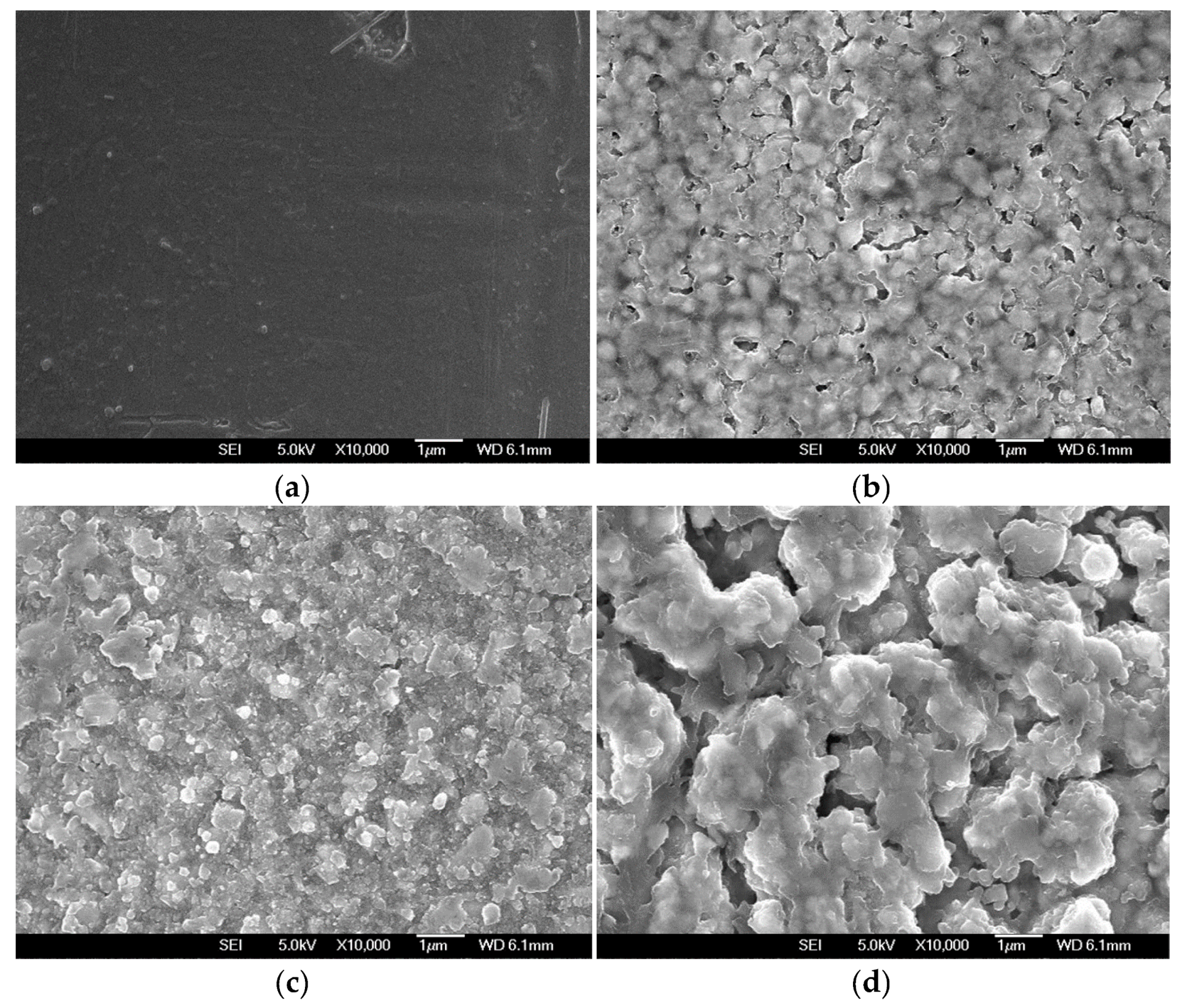 Coatings 10 00317 g004 Coatings 10 00317 g004