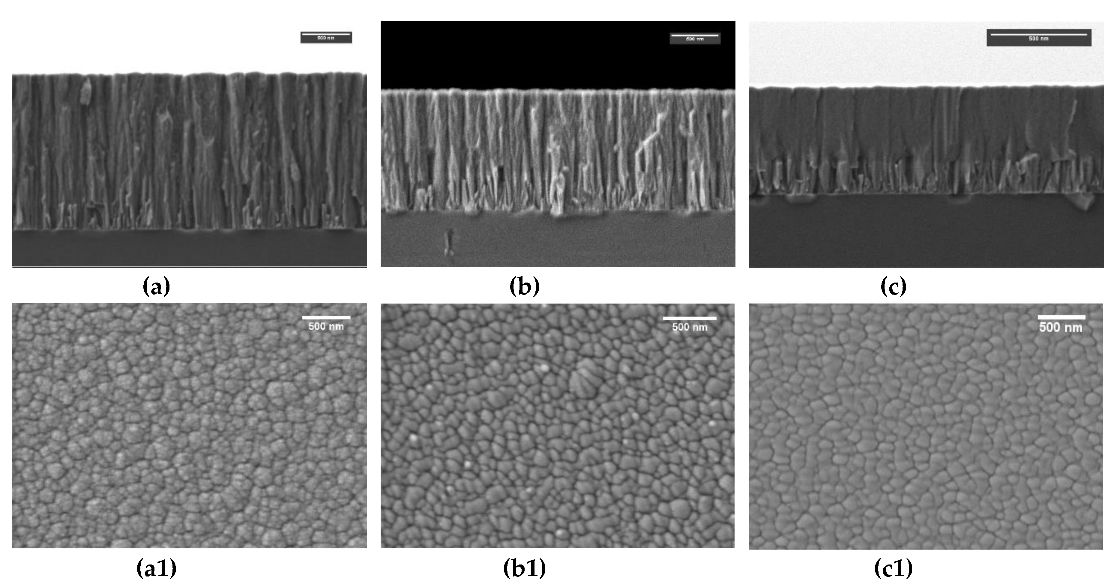 Coatings 10 00319 g003 Coatings 10 00319 g003