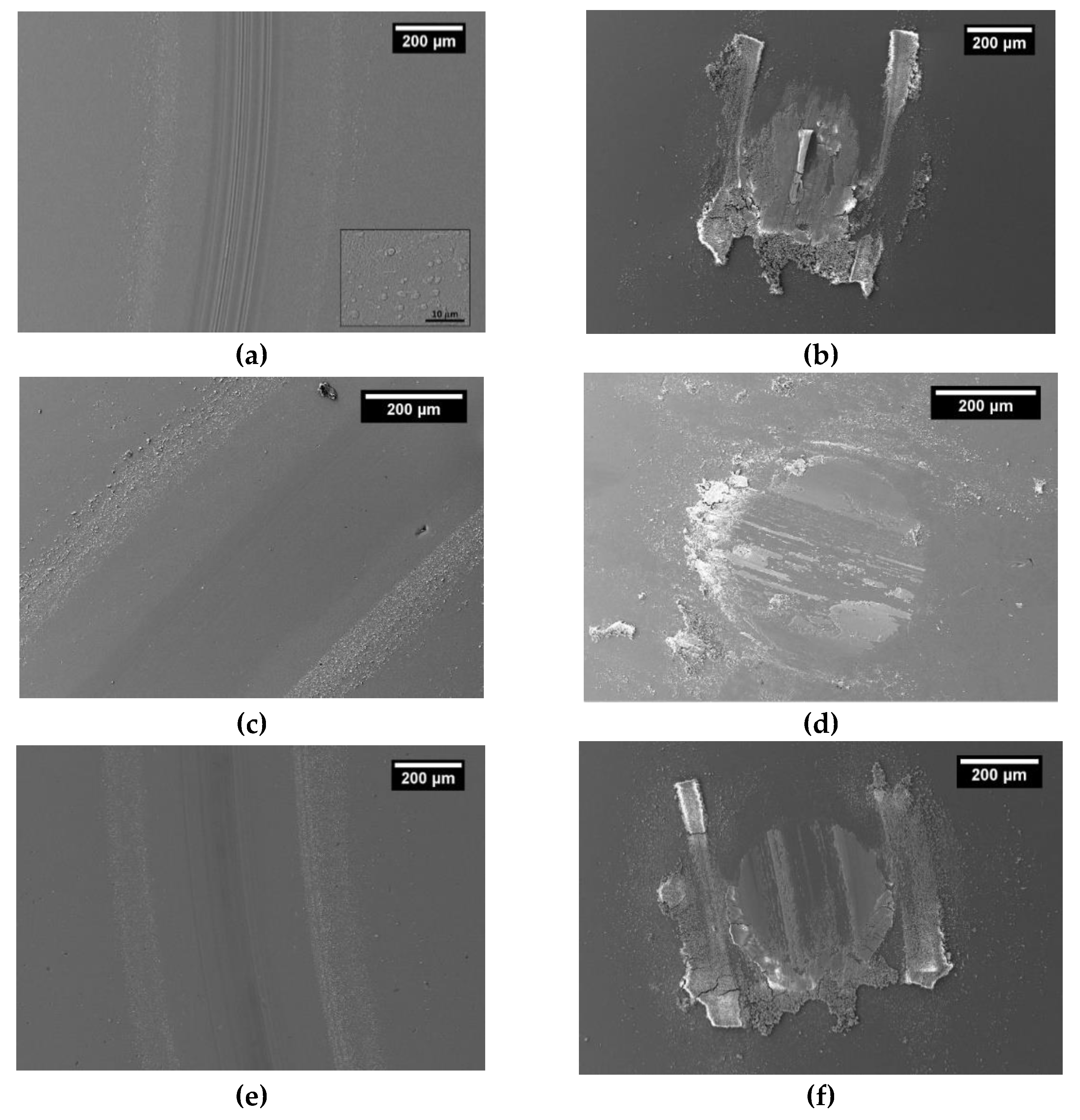 Coatings 10 00319 g007 Coatings 10 00319 g007