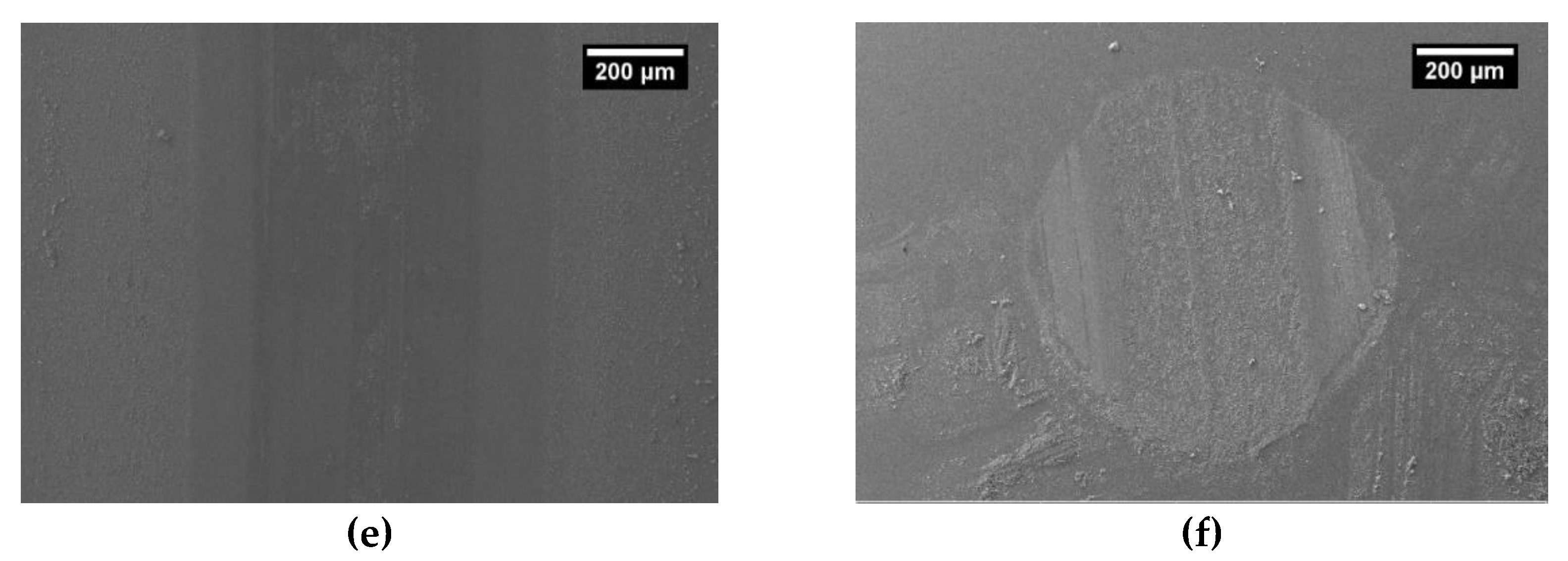 Coatings 10 00319 g008b Coatings 10 00319 g008b