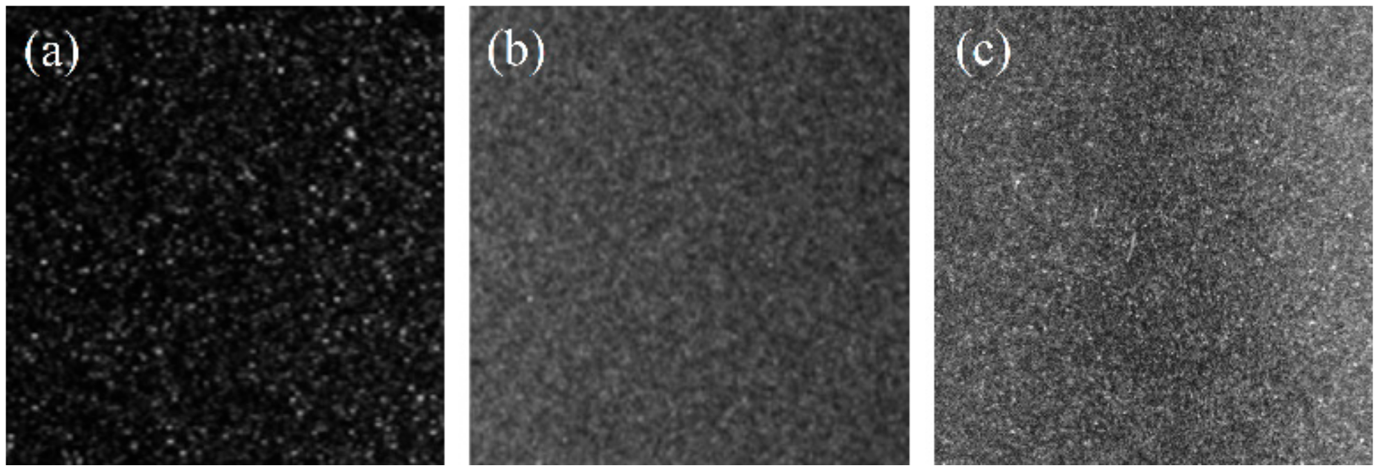 Coatings 10 00320 g001