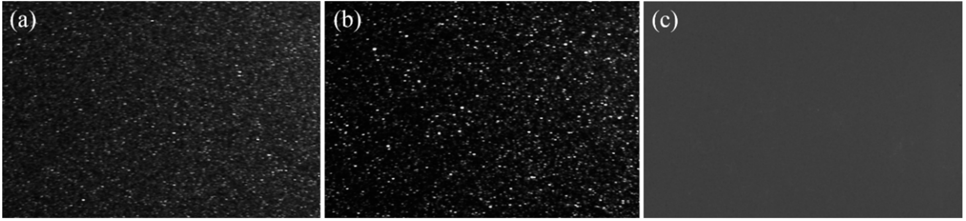 Coatings 10 00320 g004