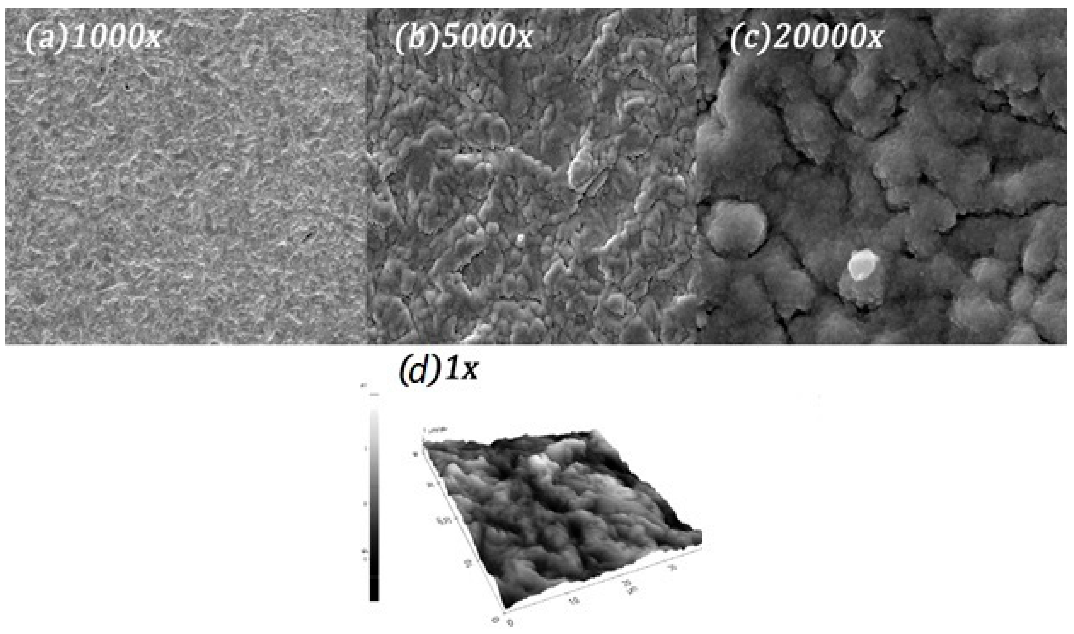 Coatings 10 00322 g005 Coatings 10 00322 g005