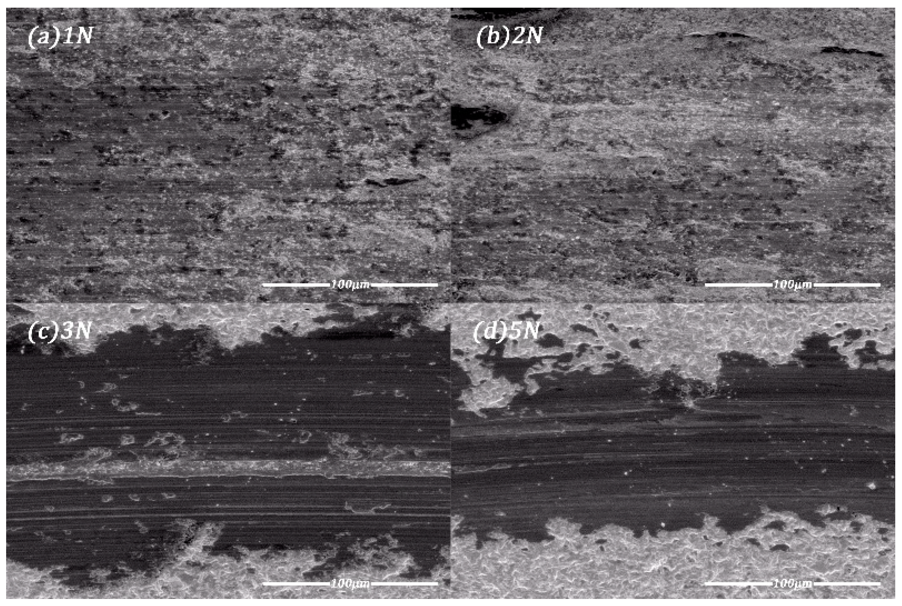 Coatings 10 00322 g007 Coatings 10 00322 g007
