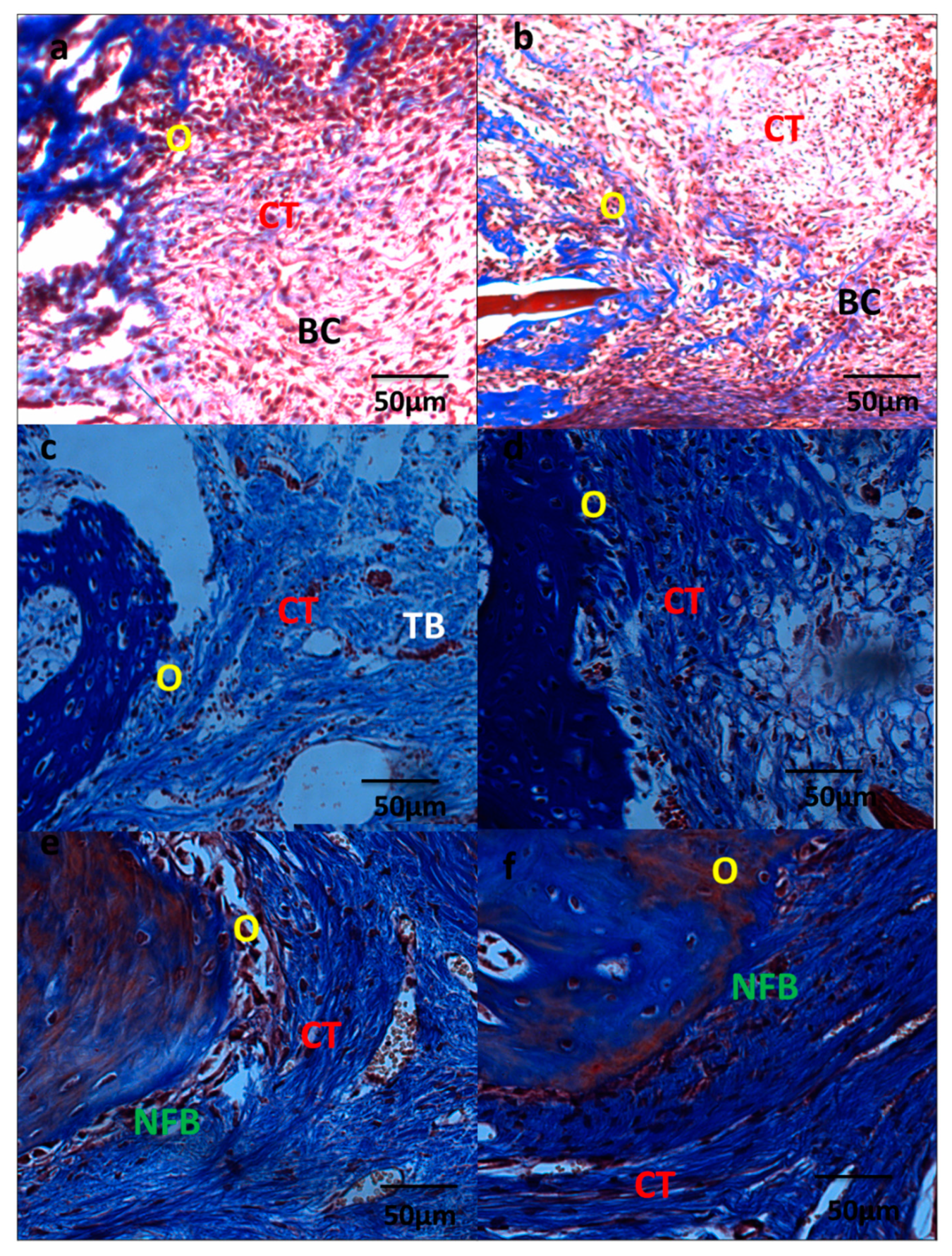 Coatings 10 00323 g007 Coatings 10 00323 g007
