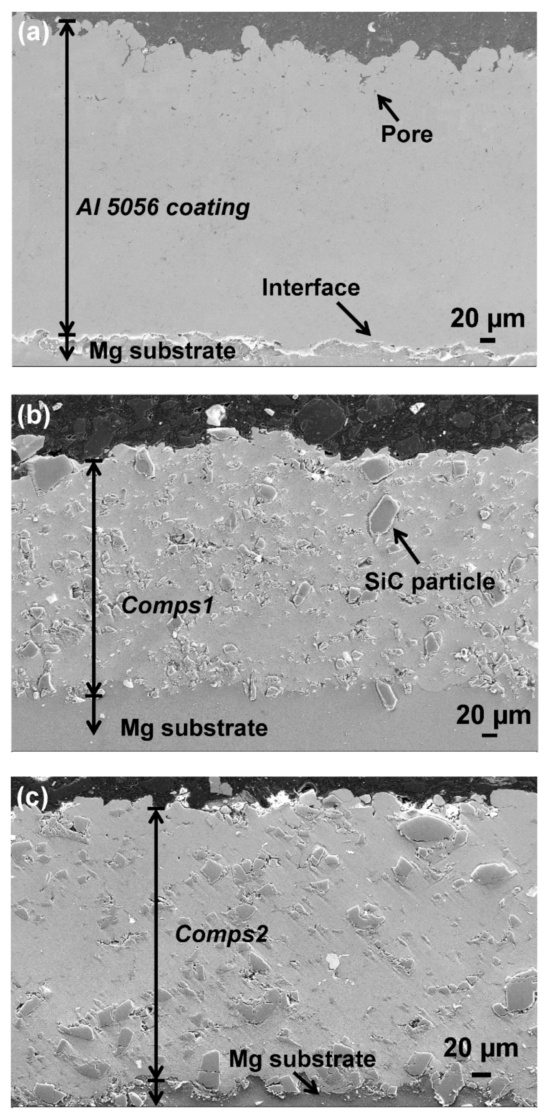 Coatings 10 00325 g002 Coatings 10 00325 g002